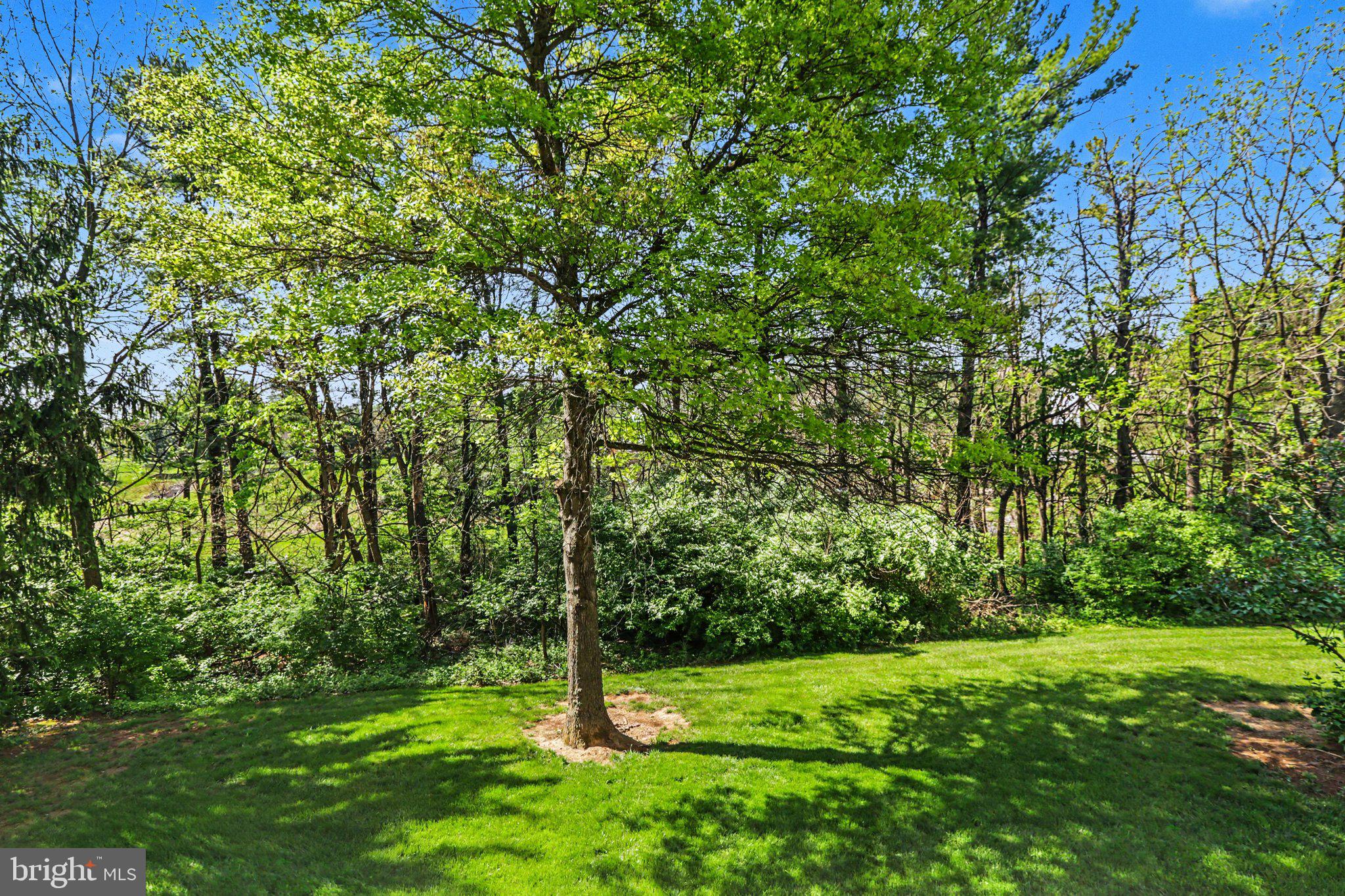 FOREST GLEN - Residential
