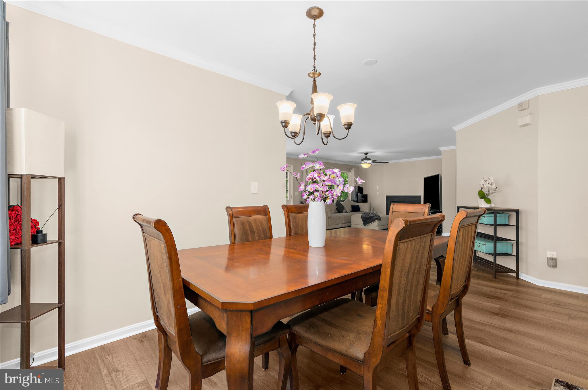WILLOW RUN - Residential