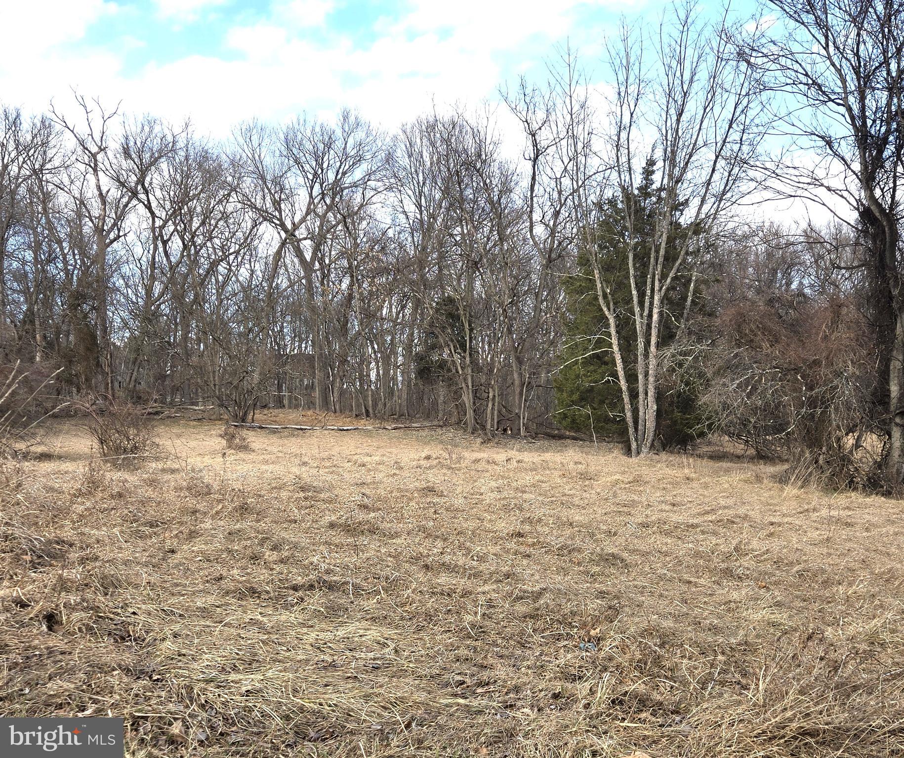 STEAMBOAT RUN - Land