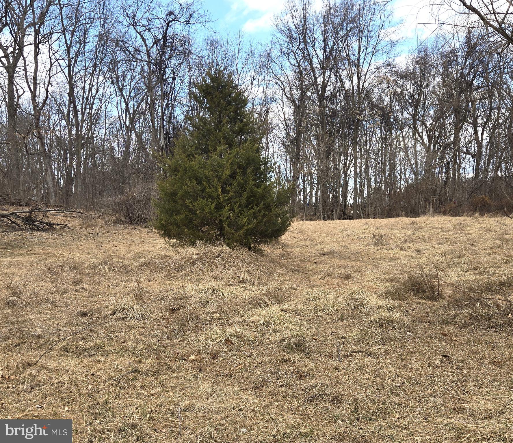 STEAMBOAT RUN - Land