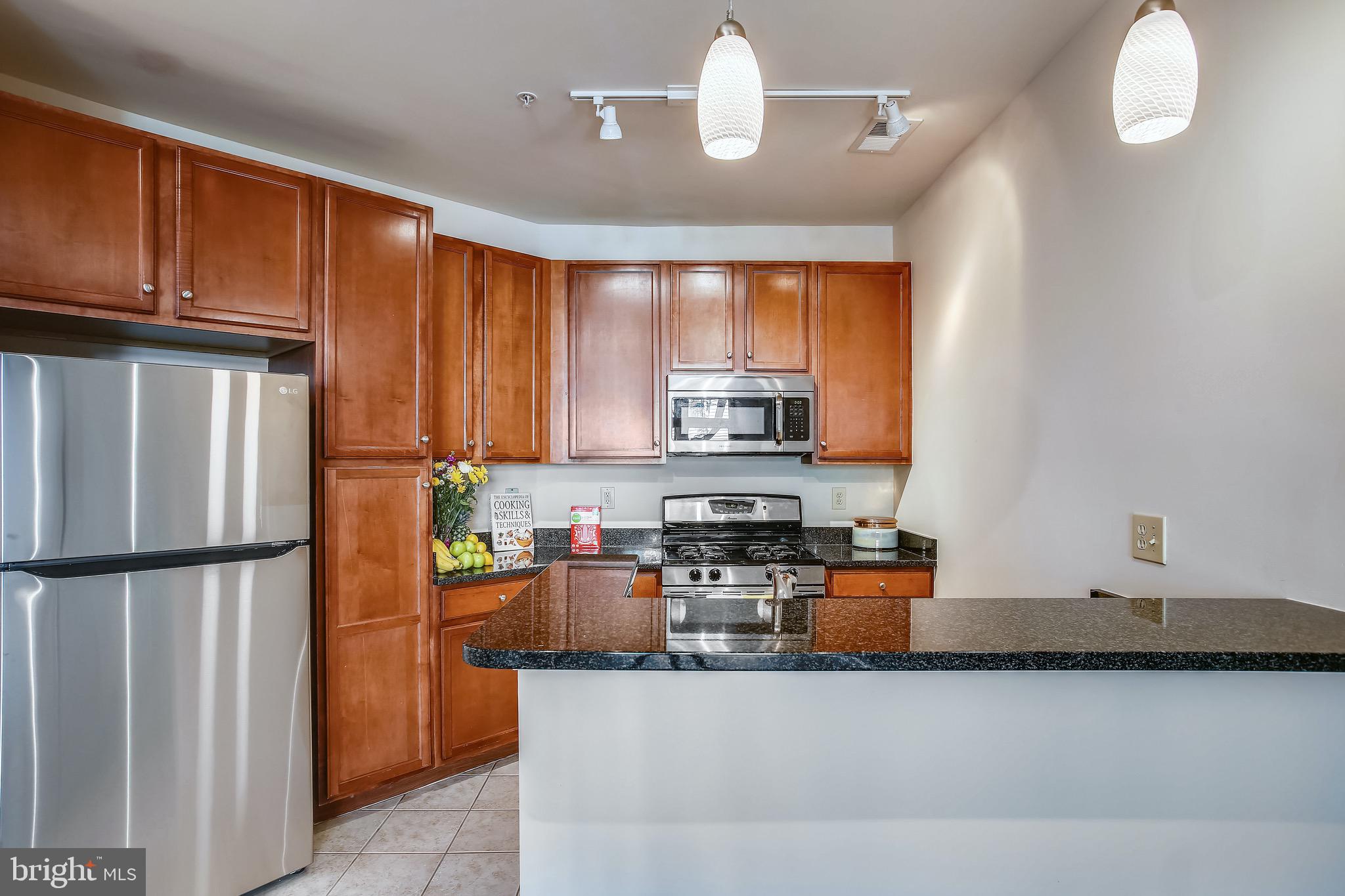 HALSTEAD AT THE METRO - Residential