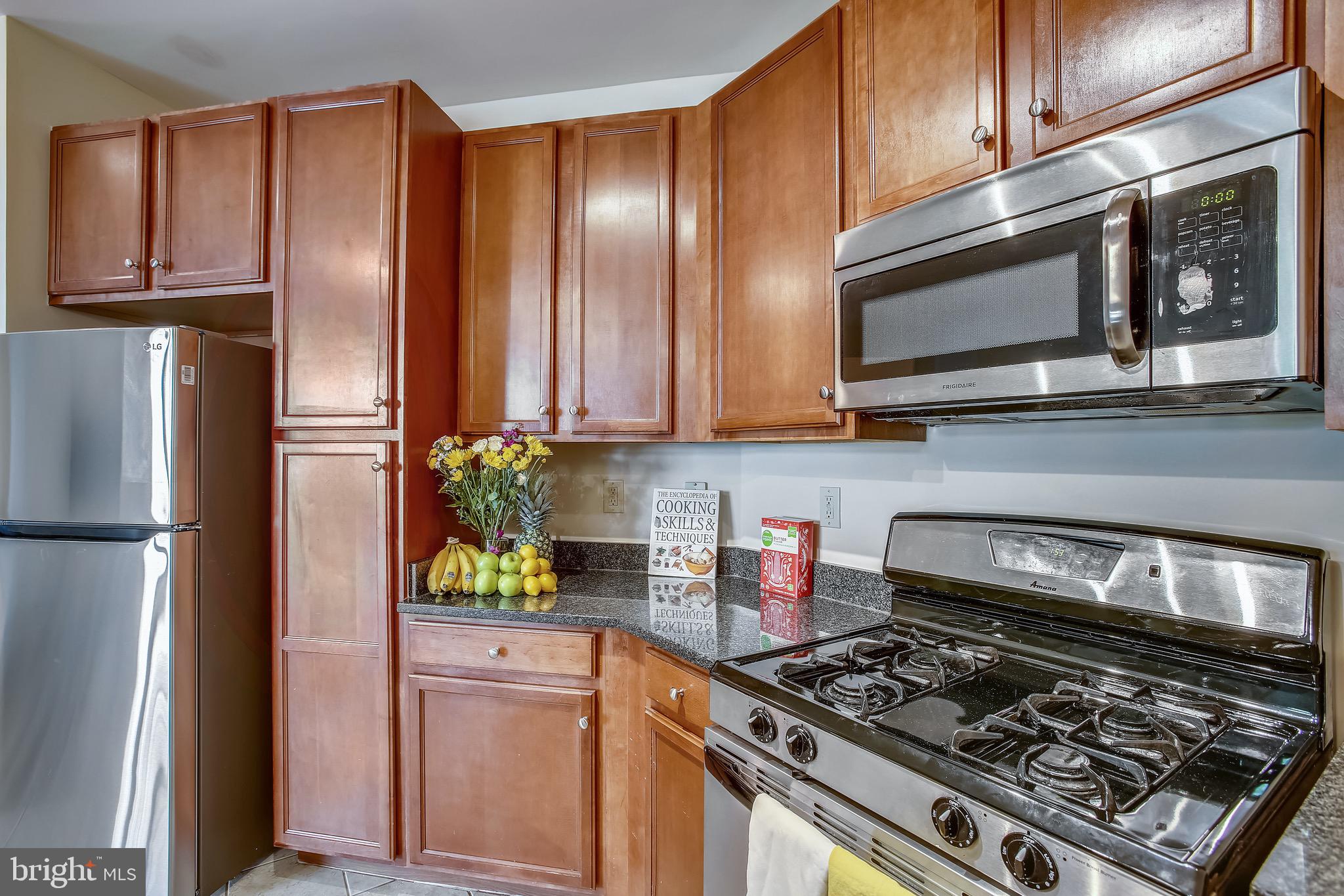 HALSTEAD AT THE METRO - Residential