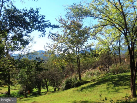 Vacant Land For Sale - Tiger Valley Road<br/> WASHINGTON, VA 22747