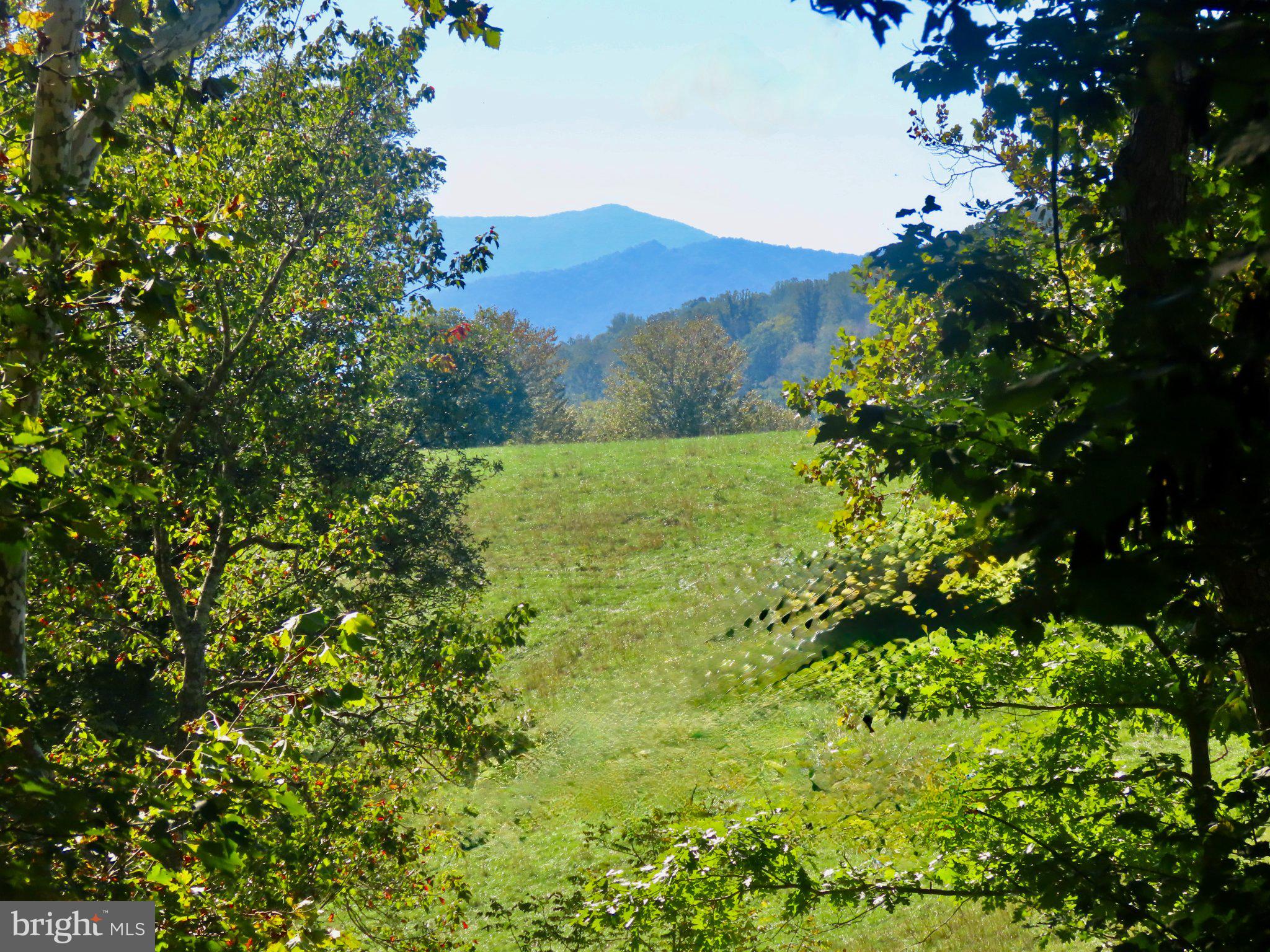 TIGER VALLEY ROAD