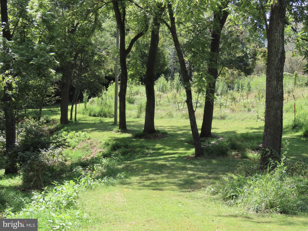 TIGER VALLEY ROAD