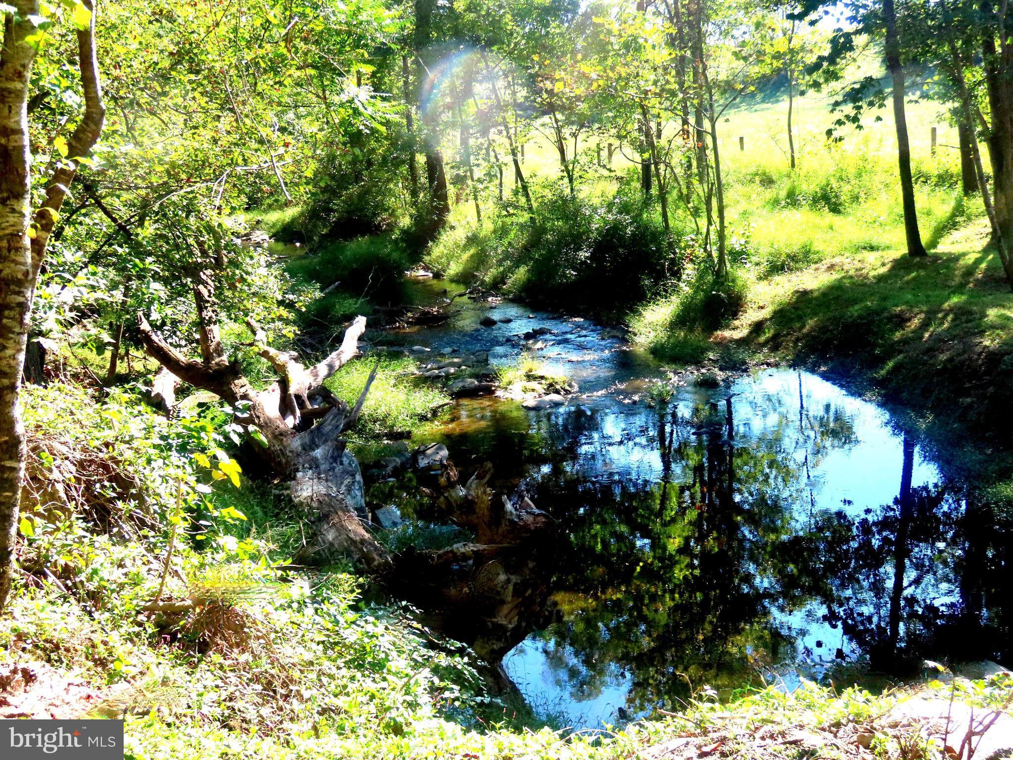 TIGER VALLEY ROAD