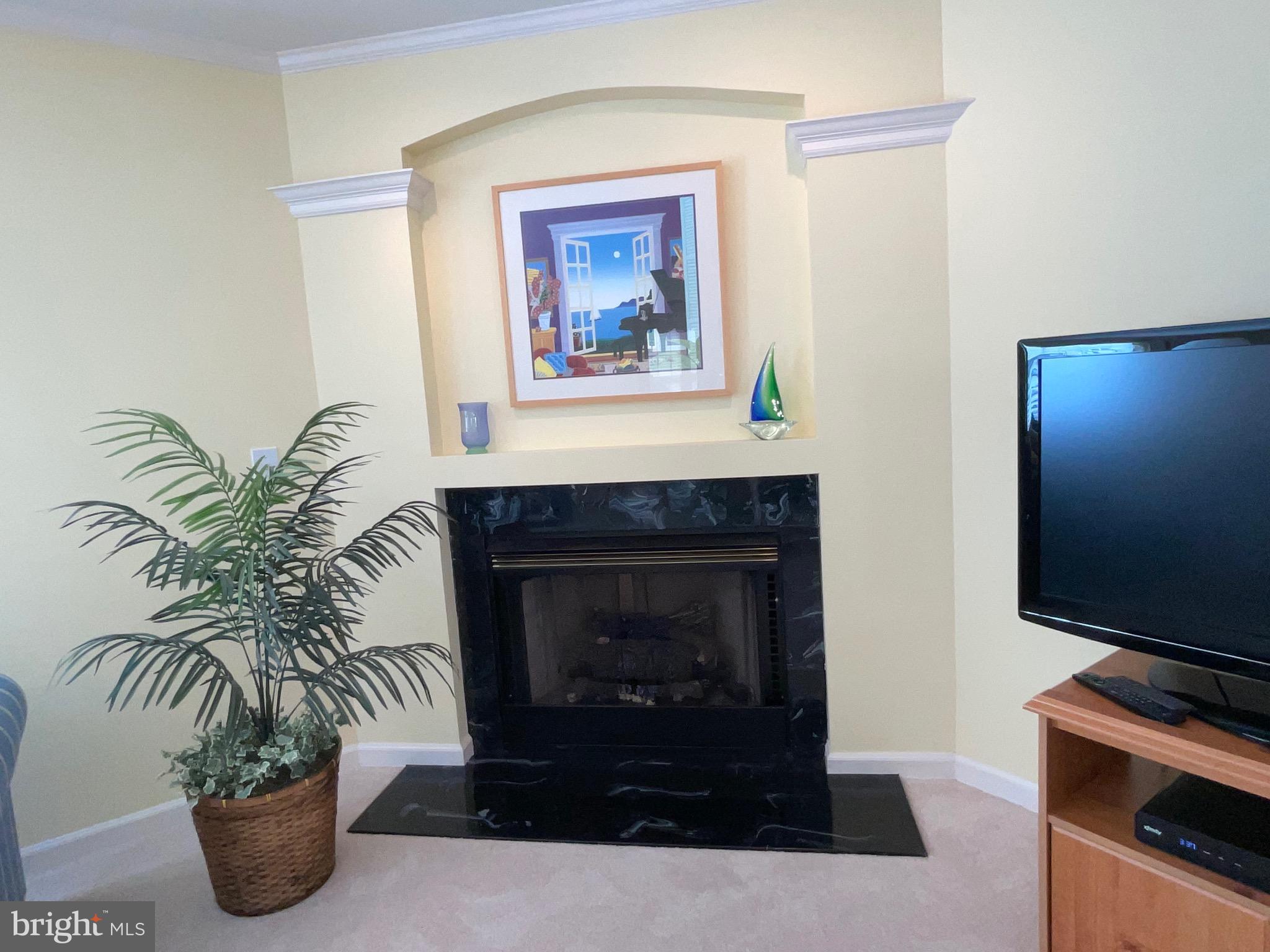 BAY VISTA AT MYSTIC HARBOR - Residential