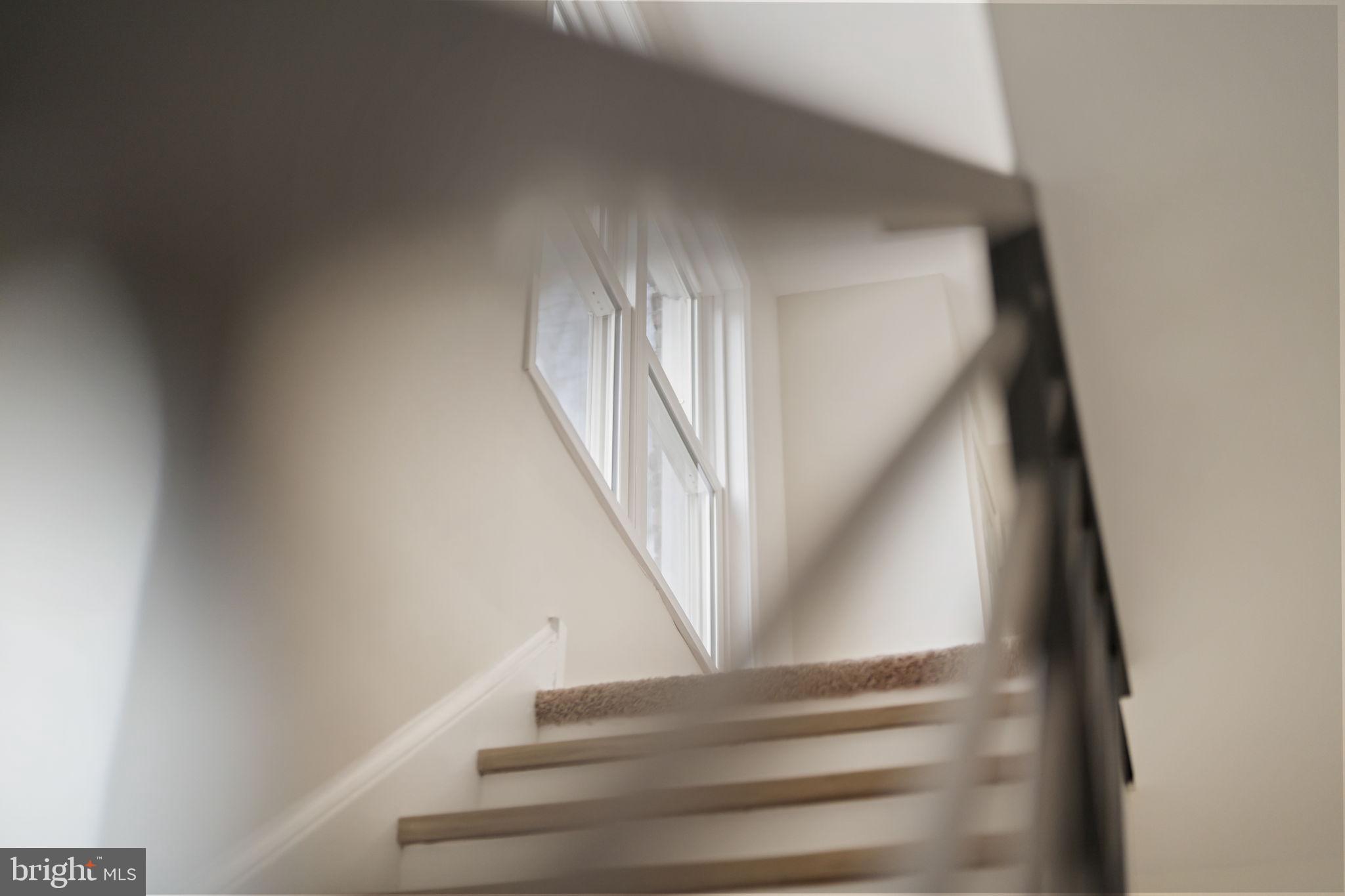 RIDLEY PARK - Residential