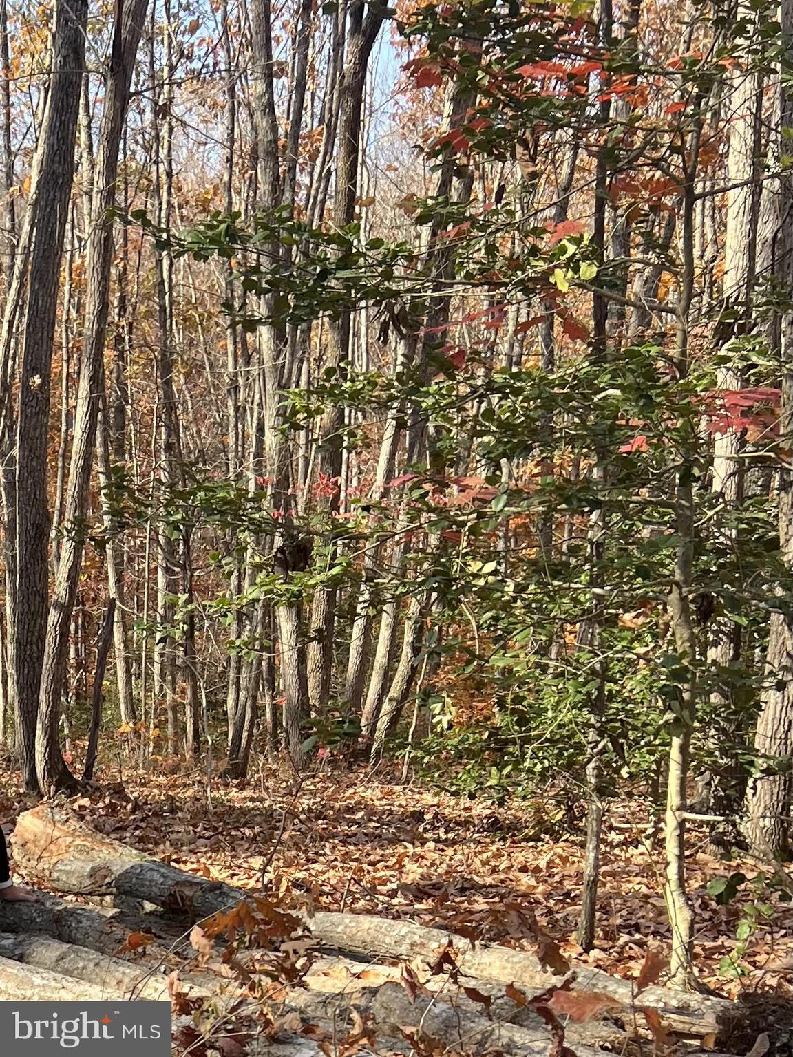 NONE AVAILABLE - Land