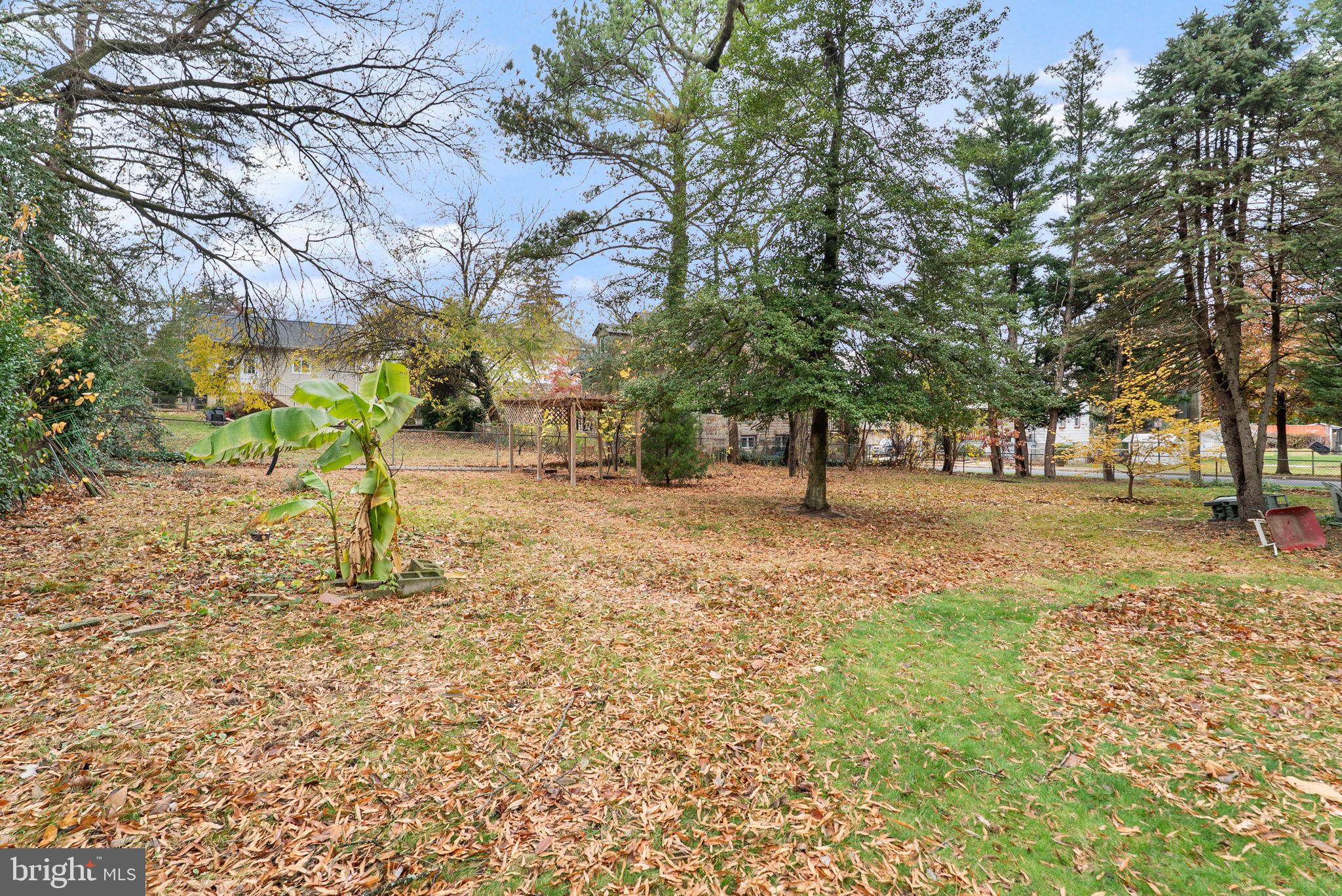 MOUNT RAINIER - Residential Lease