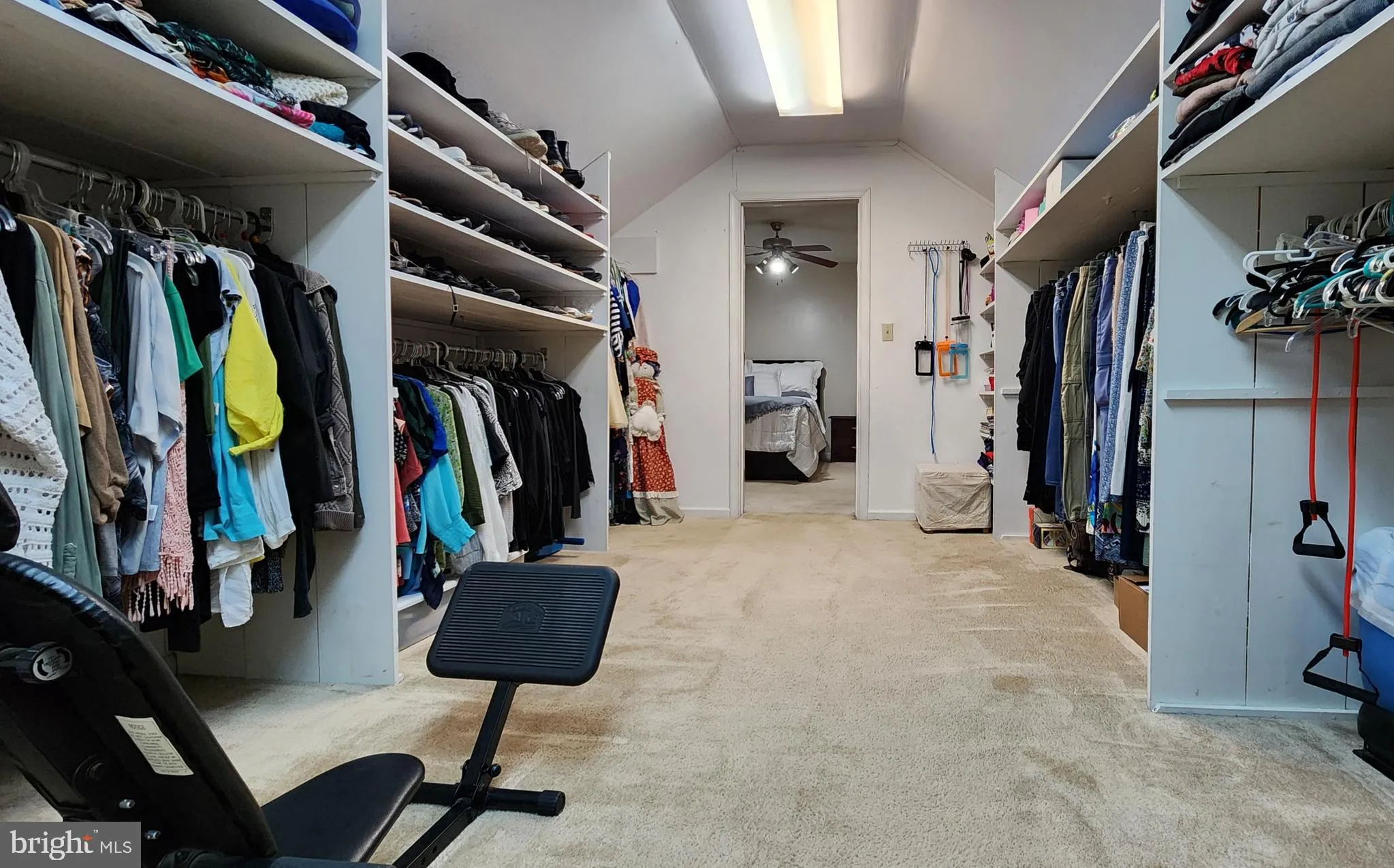 Newark, Delaware 19702, United States, 4 Bedrooms Bedrooms, ,3 BathroomsBathrooms,Residential,Coming Soon,97749