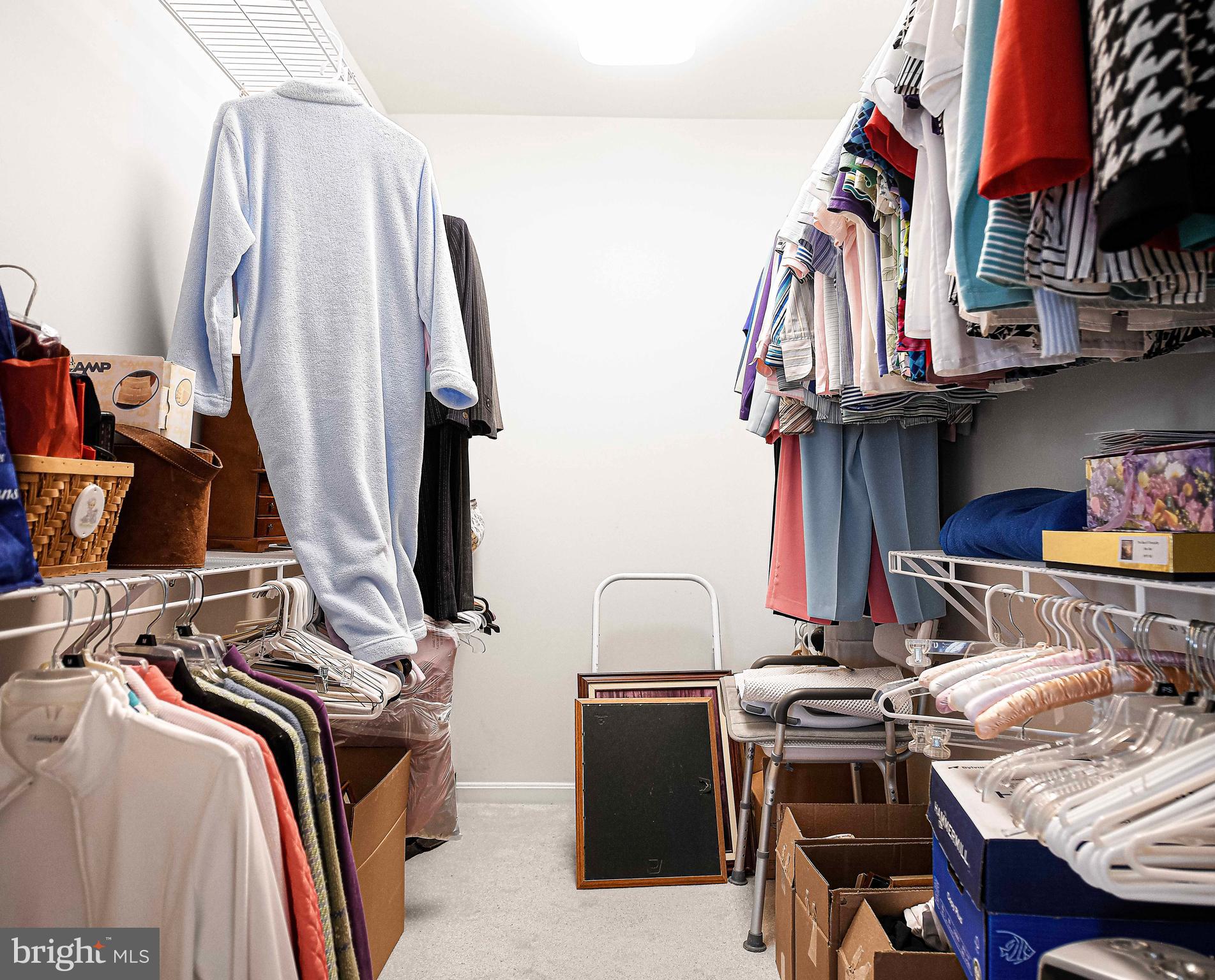 FOREST VIEW - Residential