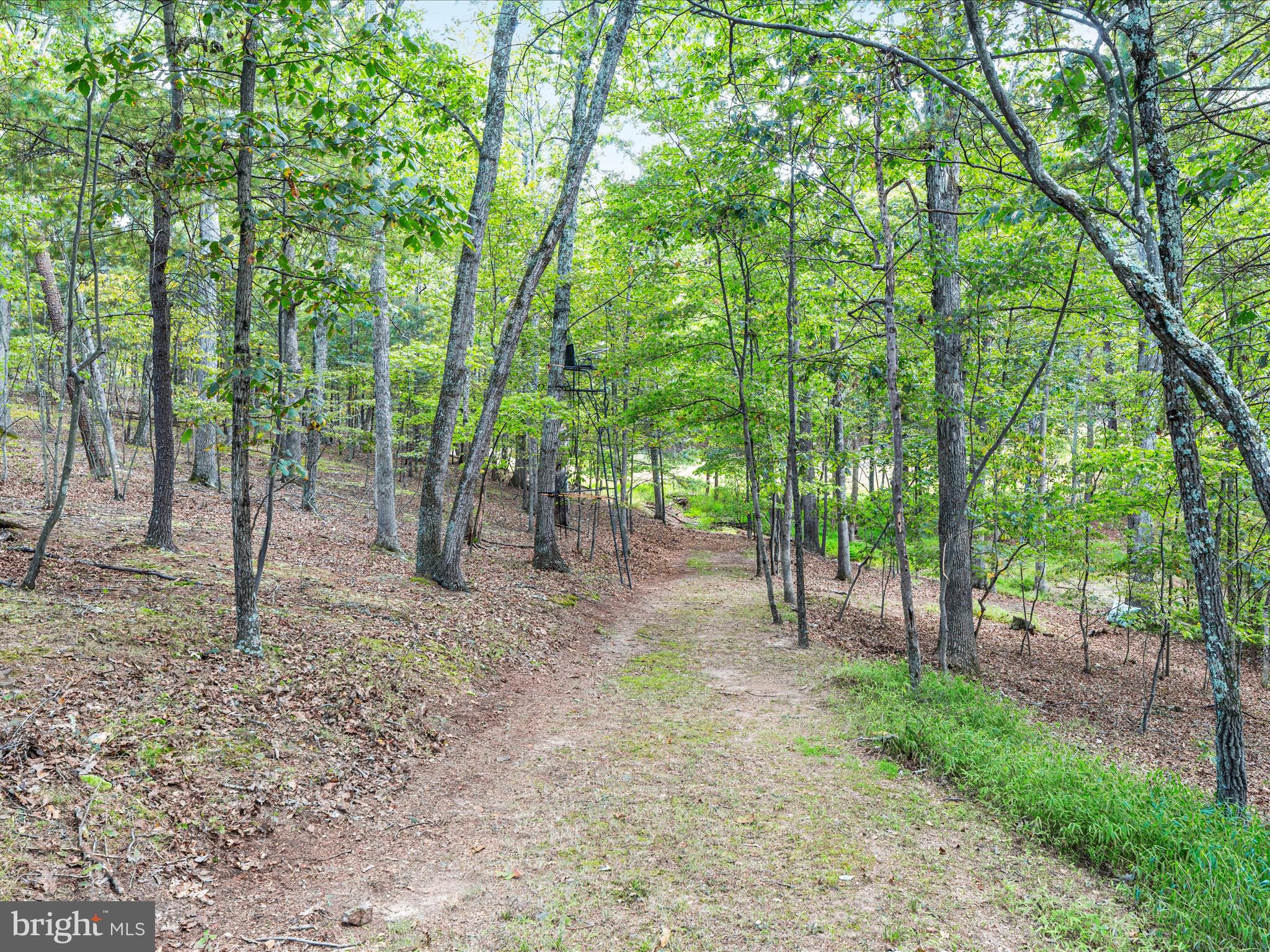 CREEK VIEW FARMS - Residential