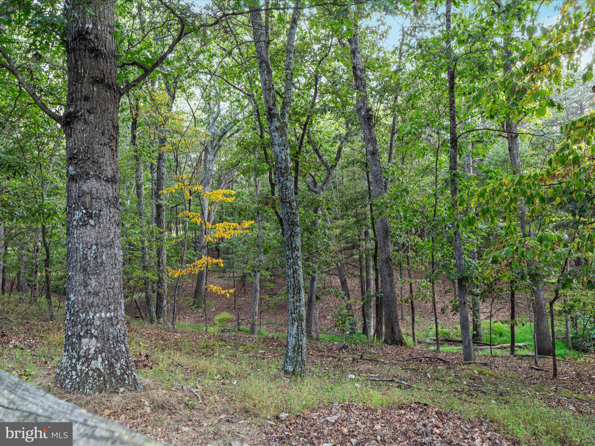 CREEK VIEW FARMS - Residential