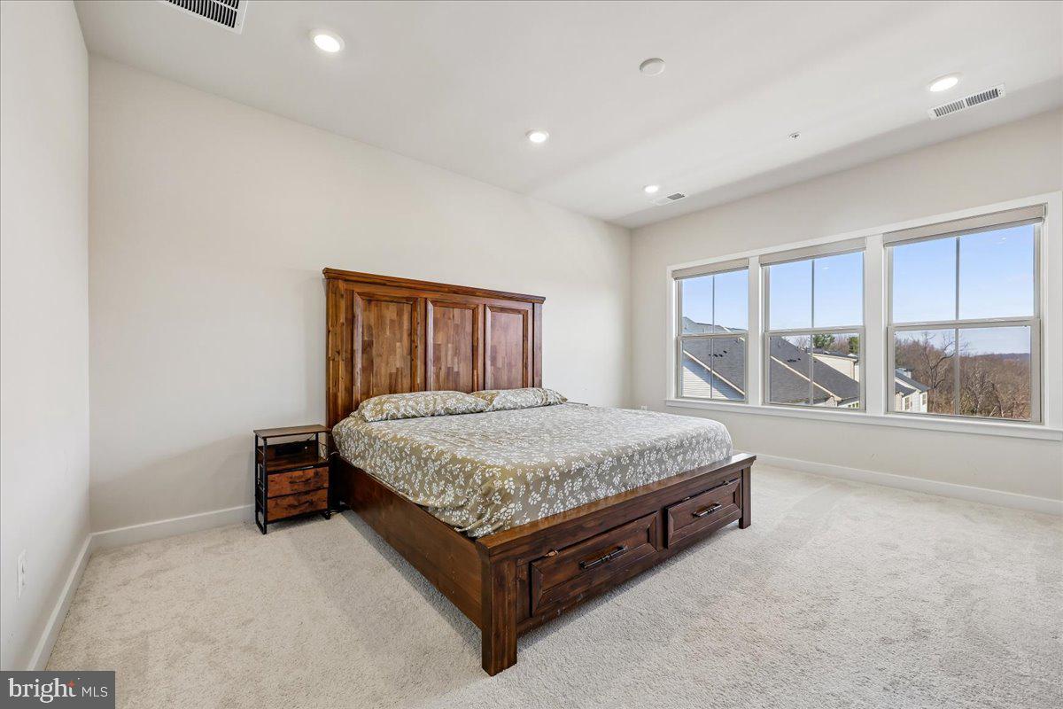 LAKE LINGANORE TOWN CENTER - Residential