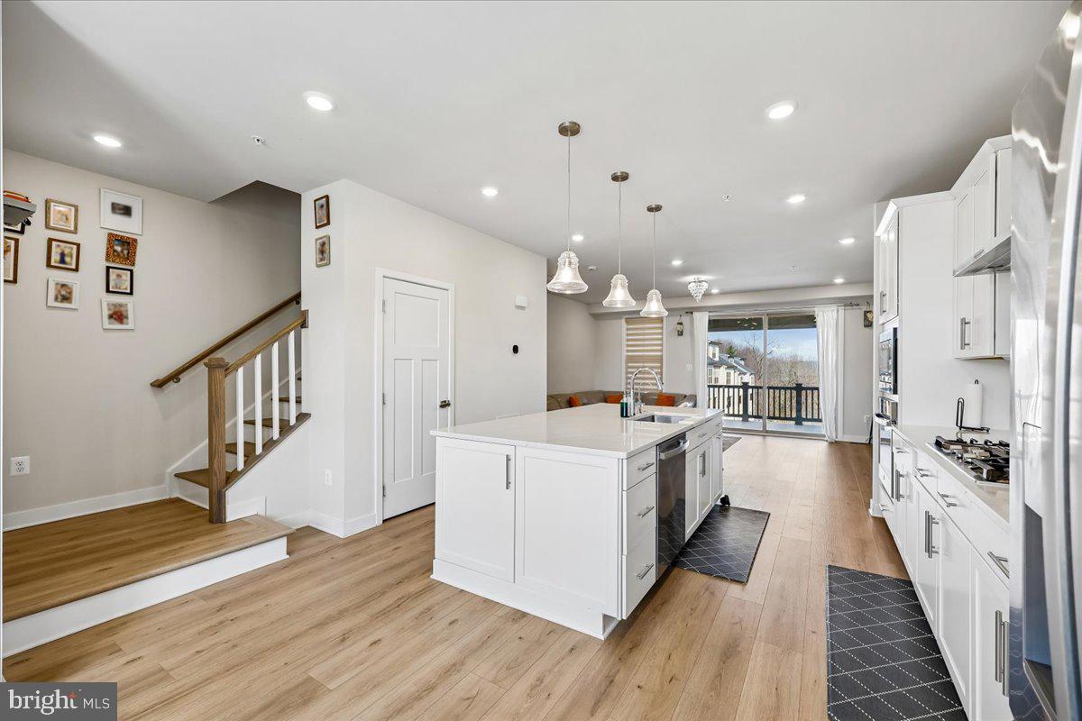 LAKE LINGANORE TOWN CENTER - Residential