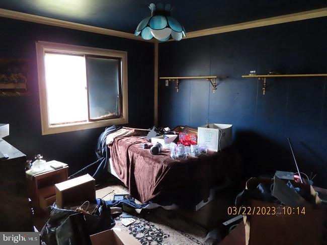 EDEN TERRACE - Residential