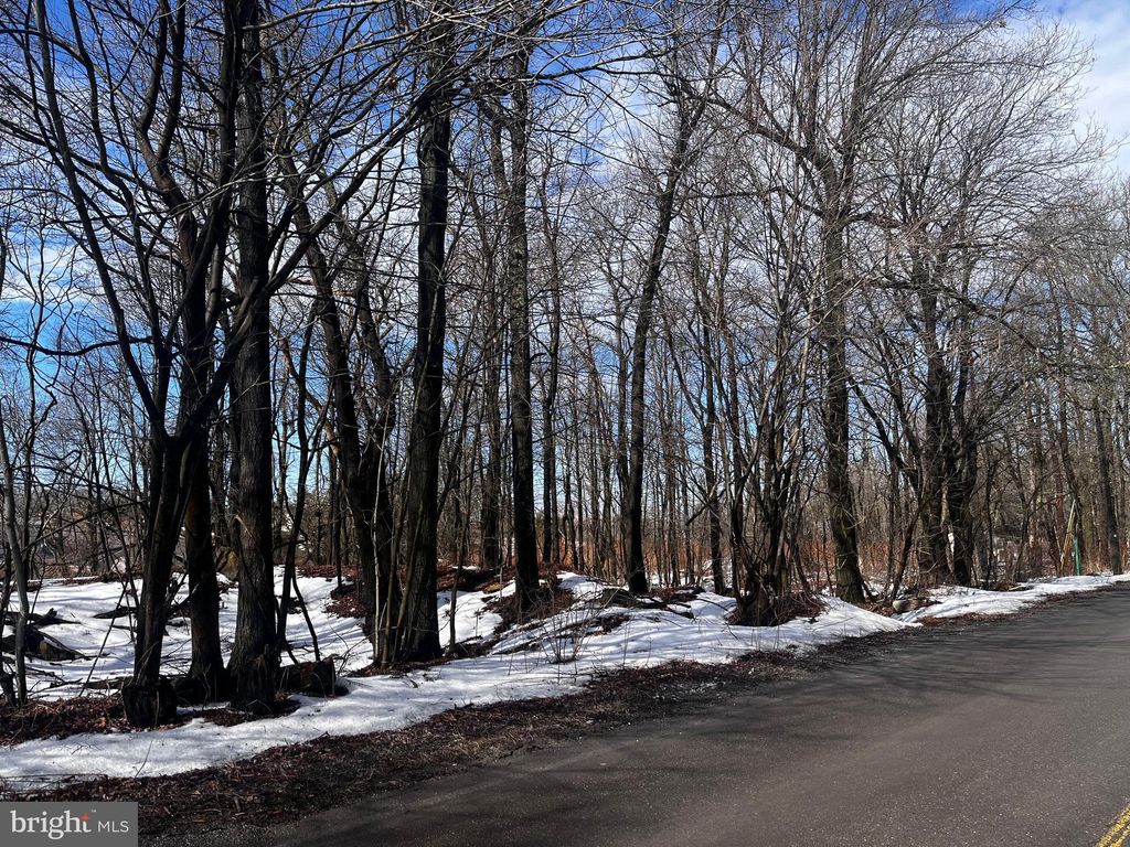 Photo of Tresckow Road, MCADOO, PA 18237 (MLS # PASK2025868)