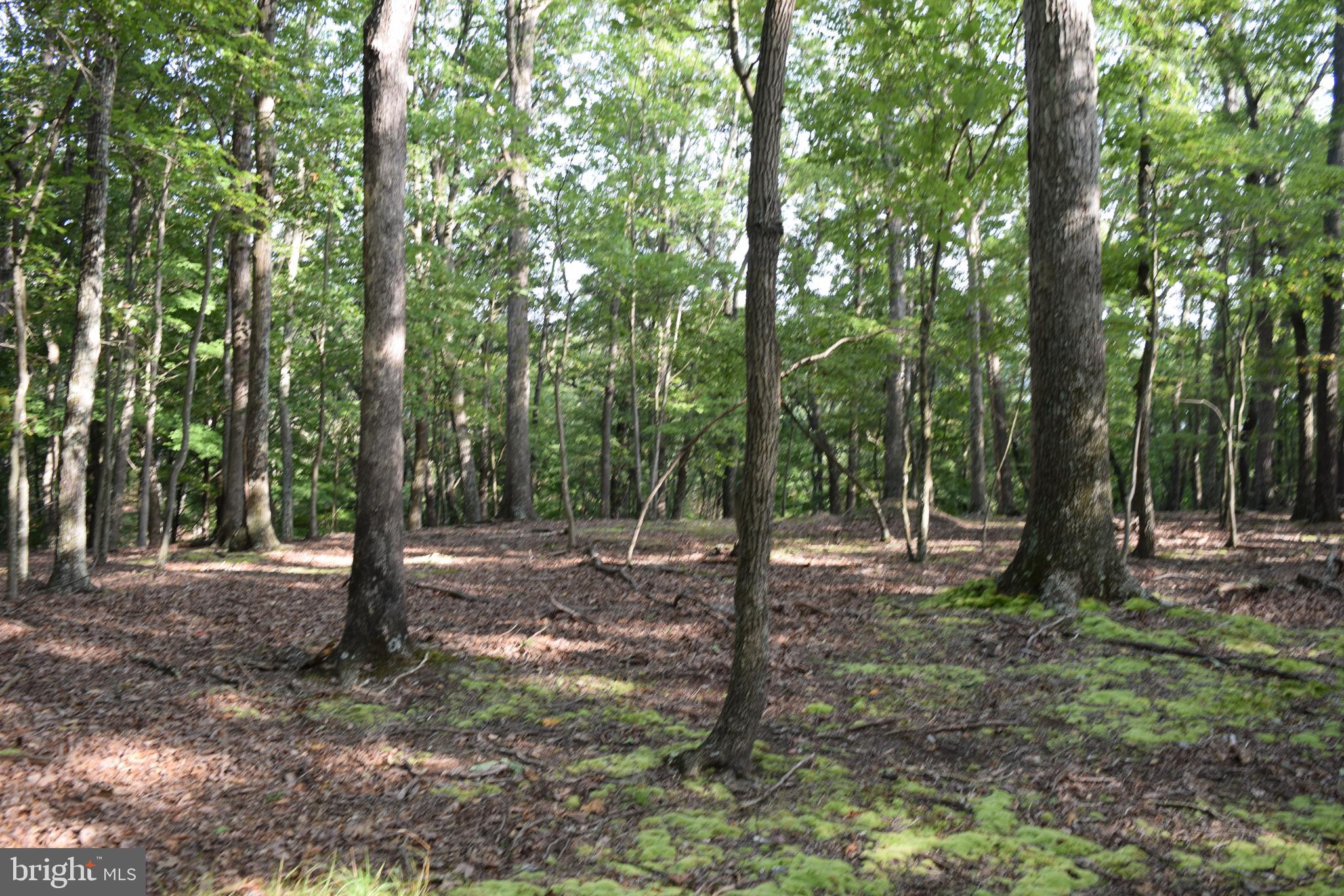 RIVER RIDGE SUBDIVISION - Land