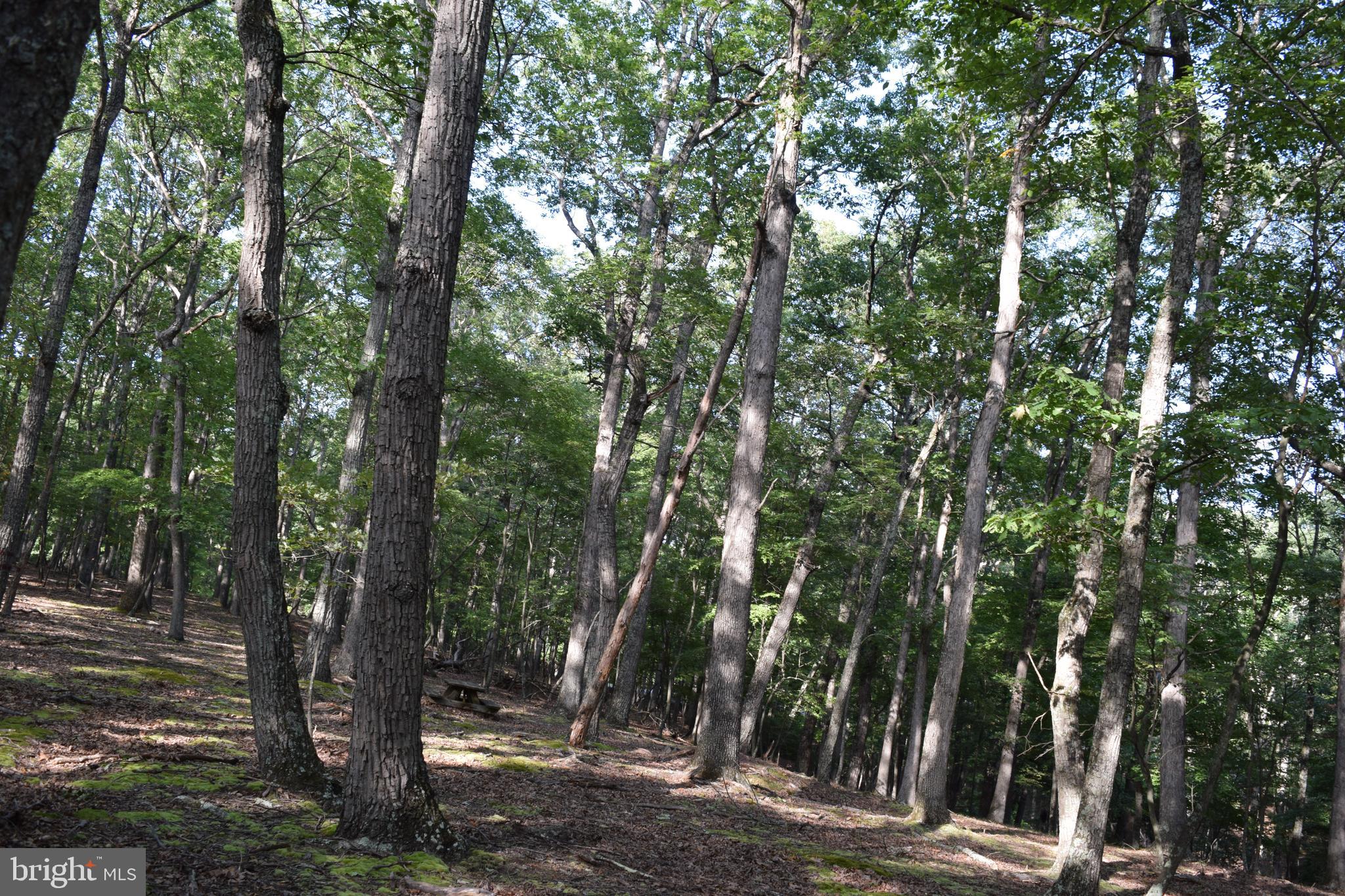 RIVER RIDGE SUBDIVISION - Land