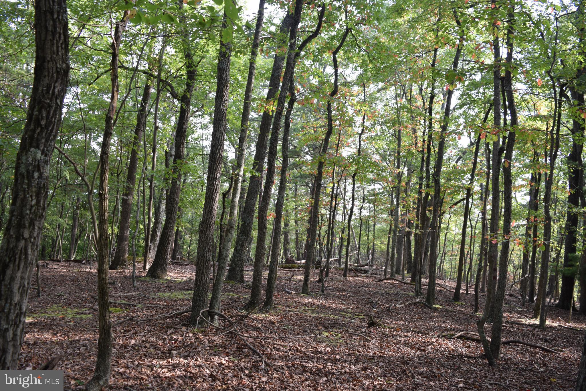 RIVER RIDGE SUBDIVISION - Land