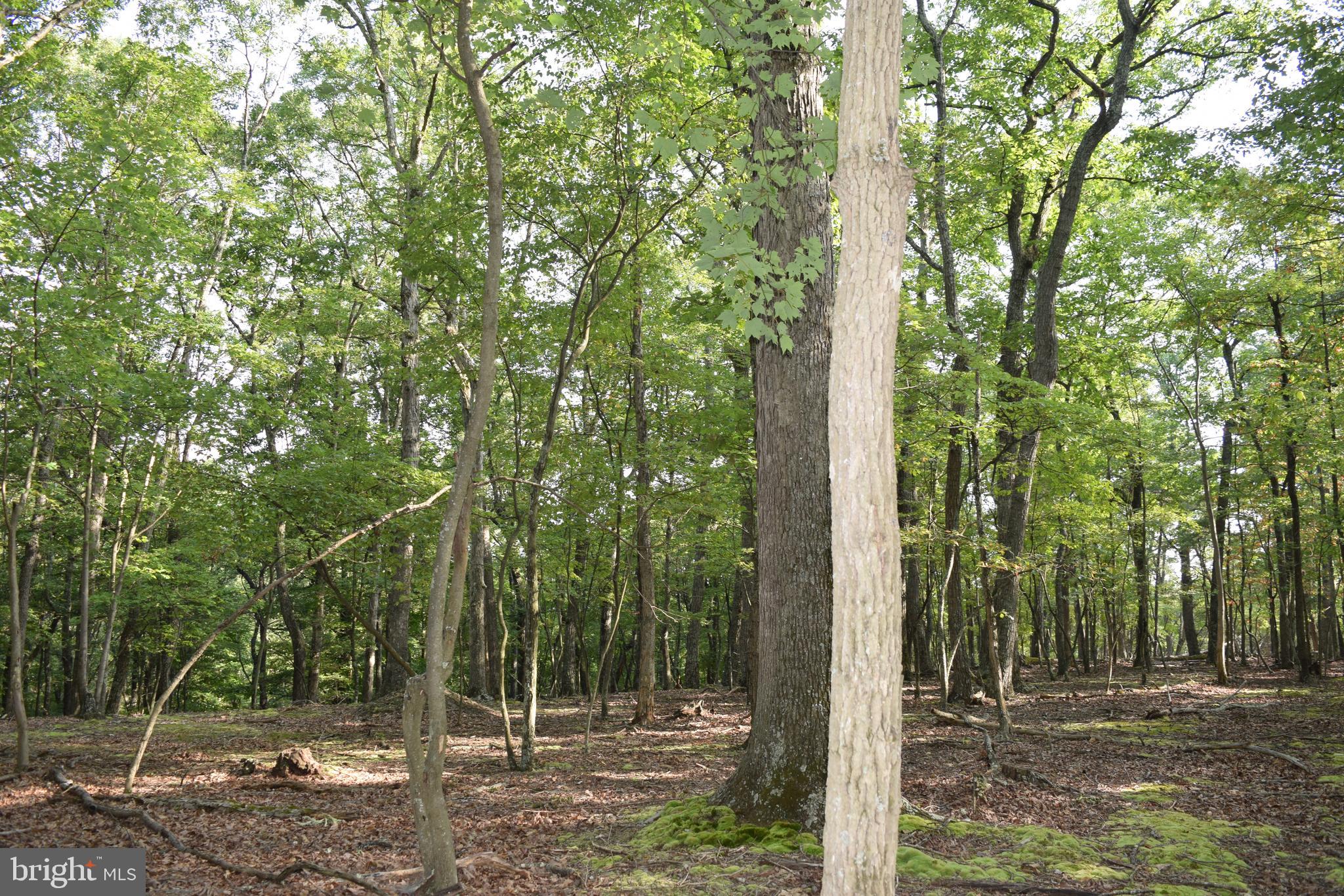 RIVER RIDGE SUBDIVISION - Land