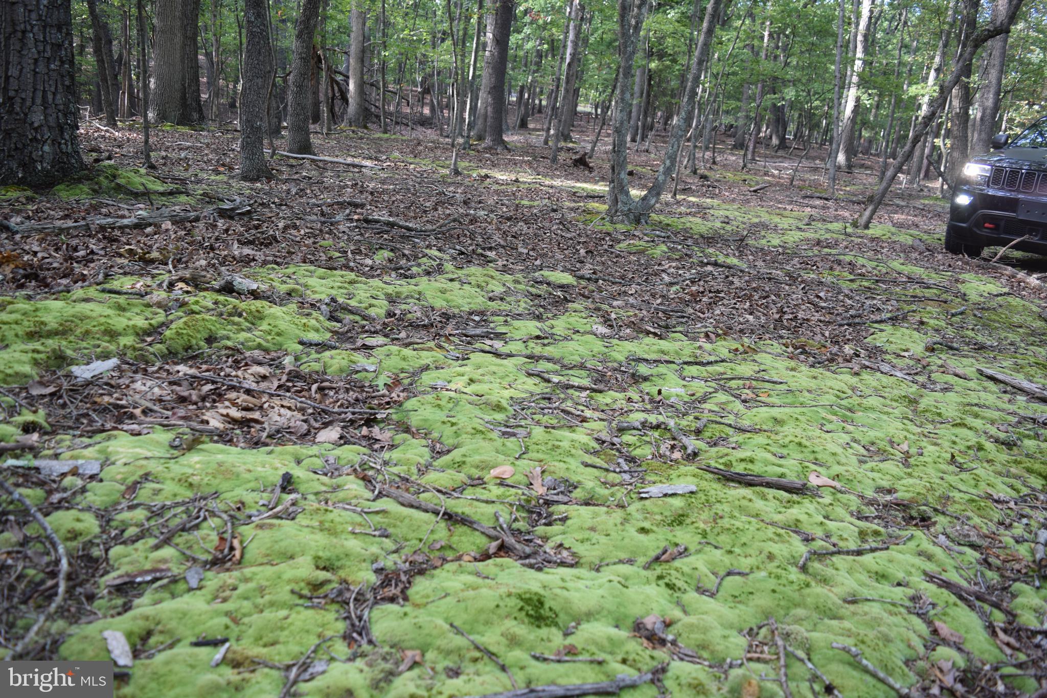 RIVER RIDGE SUBDIVISION - Land