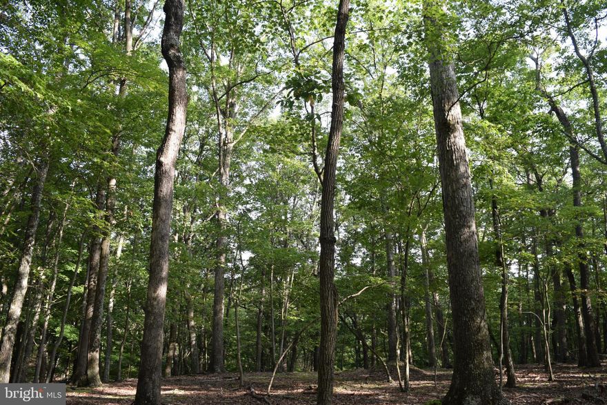 Lovely wooded lot in the gated River Ridge Community.  Homeowners enjoy access to the common area  along the river.  Common area boasts a bathhouse and picnic area.  Fishing, canoeing or just relaxing by the river's shore will be your new favorite activity.  Seller had a well drilled at one time on the parcel but does not know the condition of the well at this time.  Driveway into the lot leads you to the perfect spot for a picnic or camping until you decide to build.