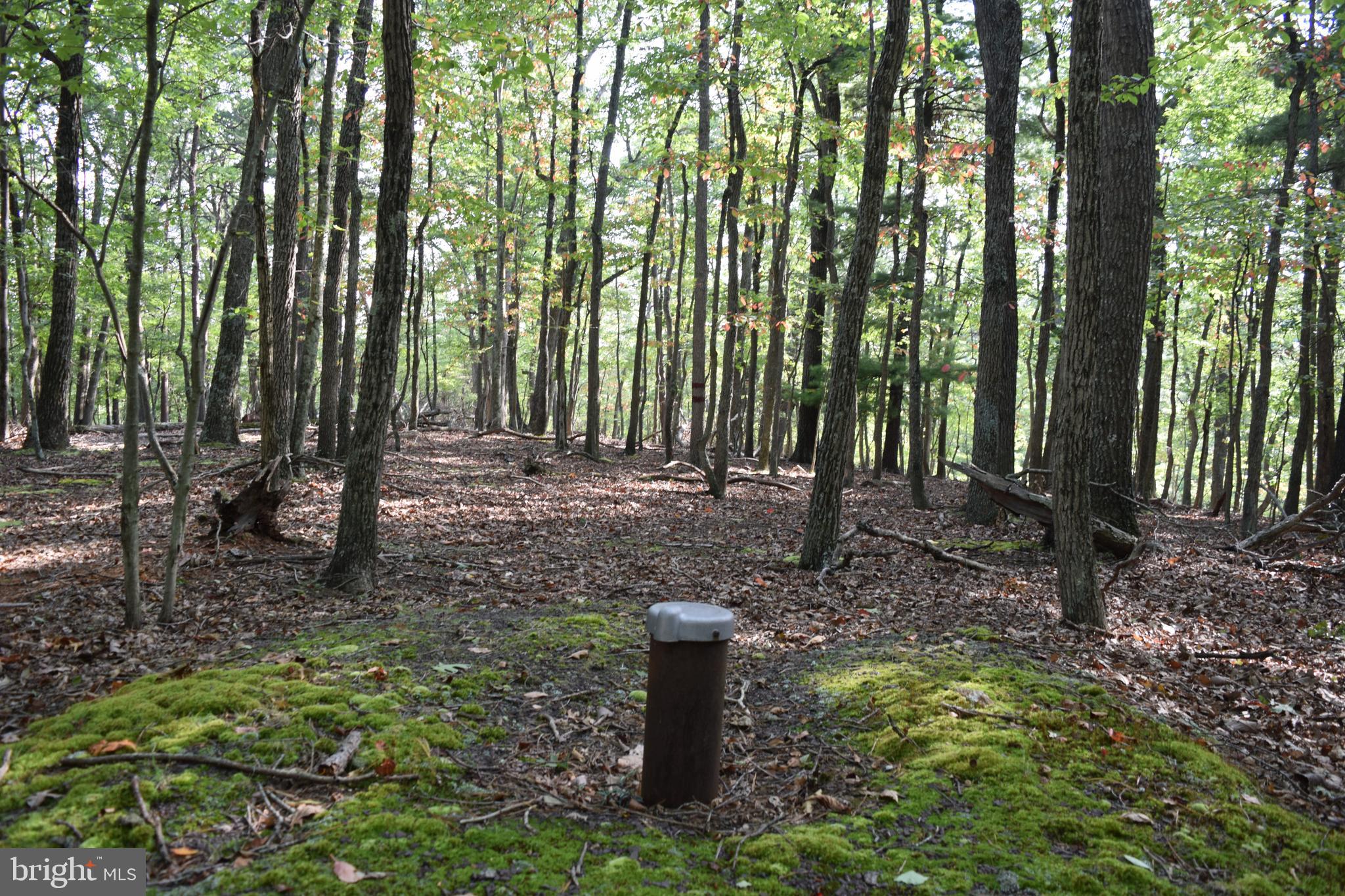 RIVER RIDGE SUBDIVISION - Land