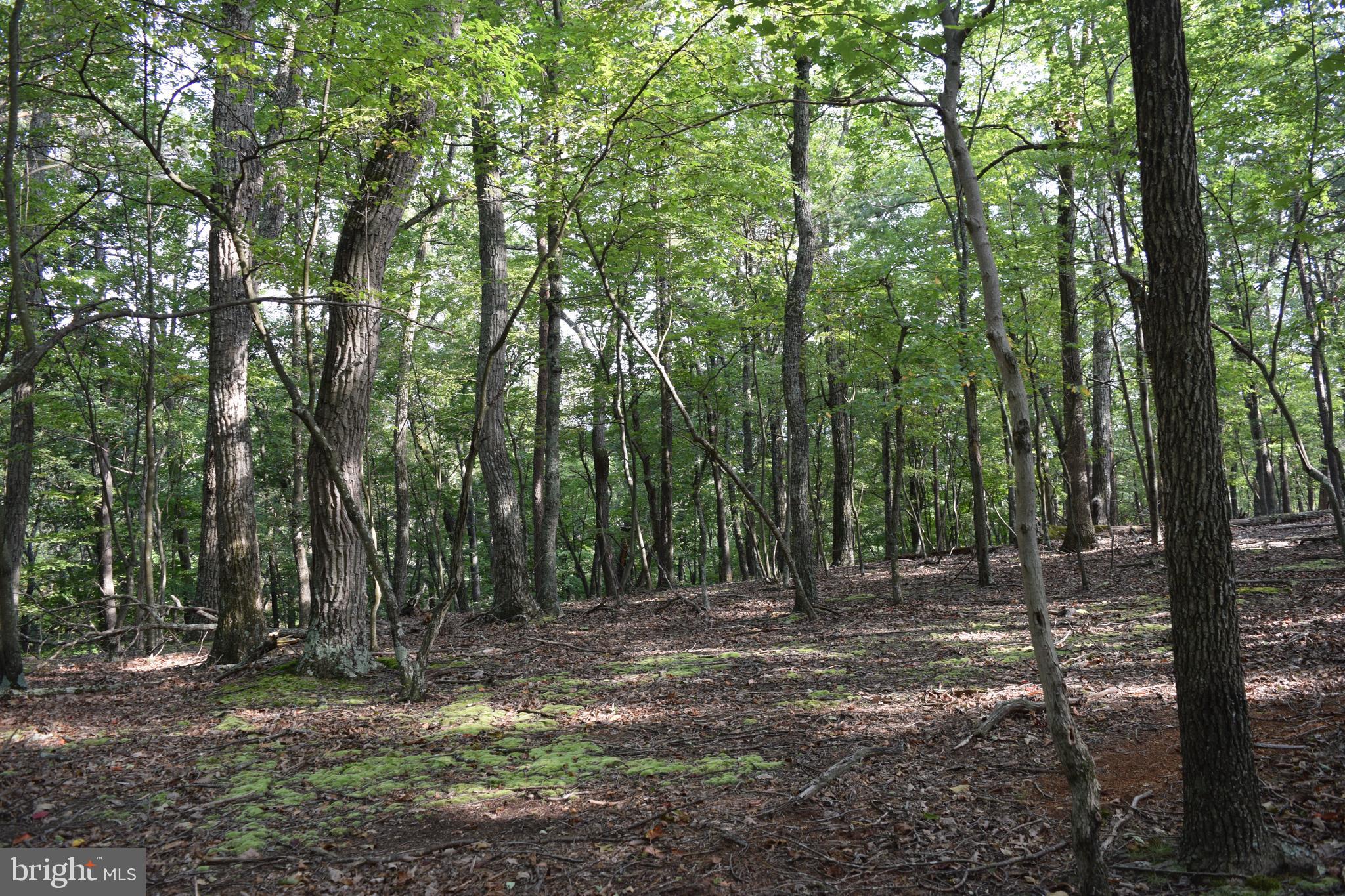 RIVER RIDGE SUBDIVISION - Land