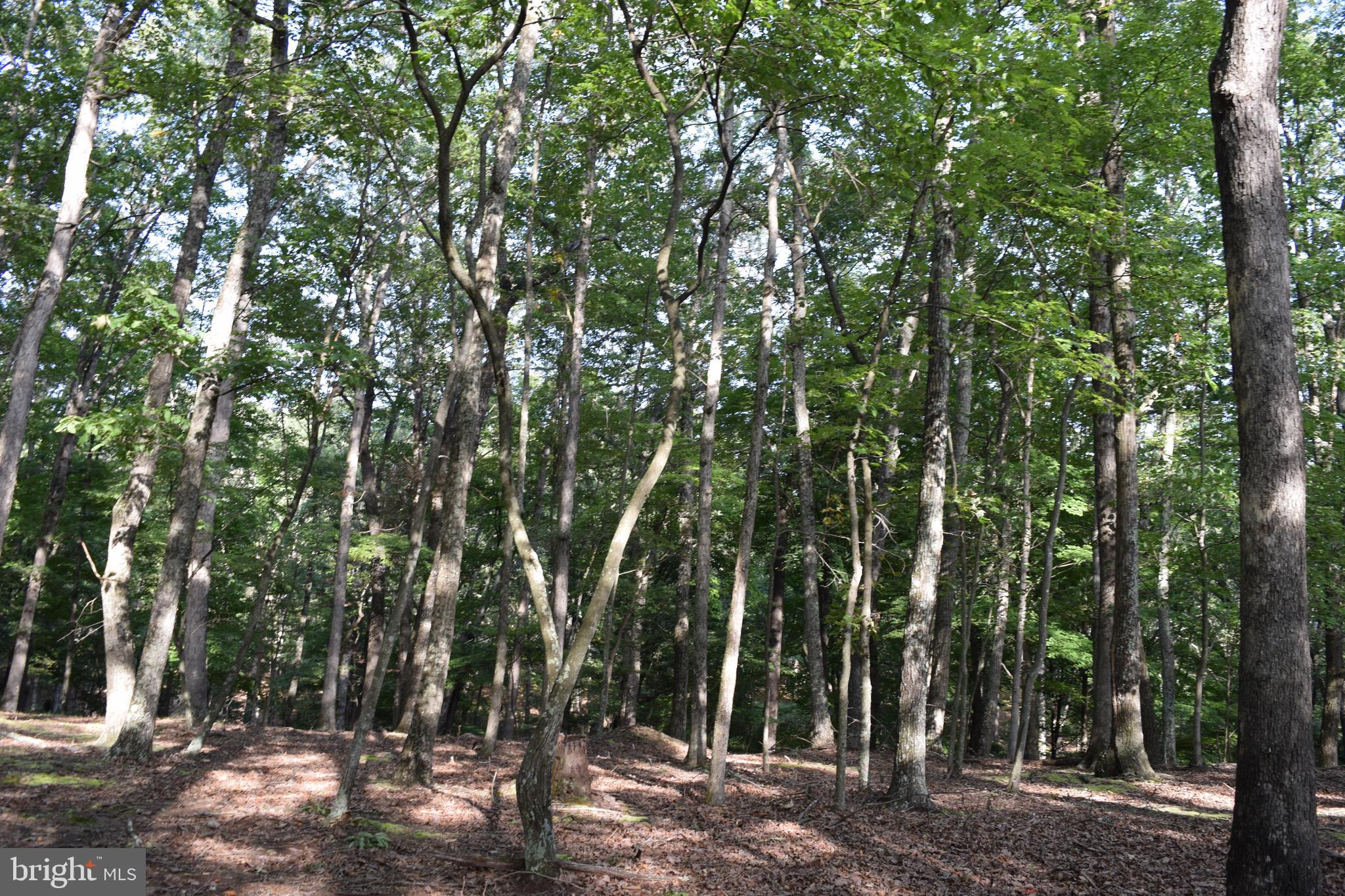 RIVER RIDGE SUBDIVISION - Land