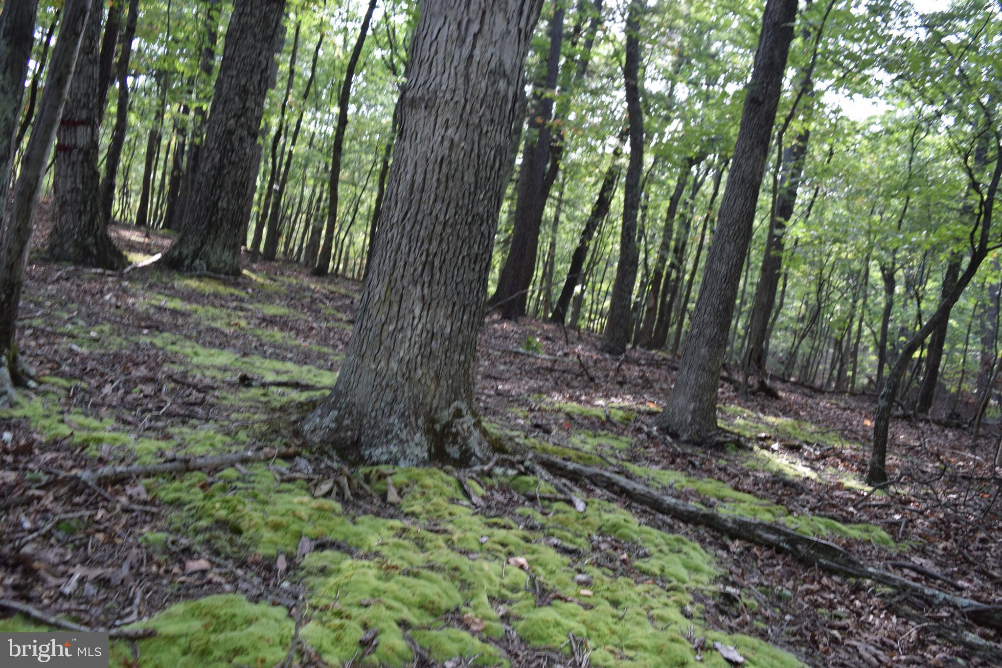 RIVER RIDGE SUBDIVISION - Land