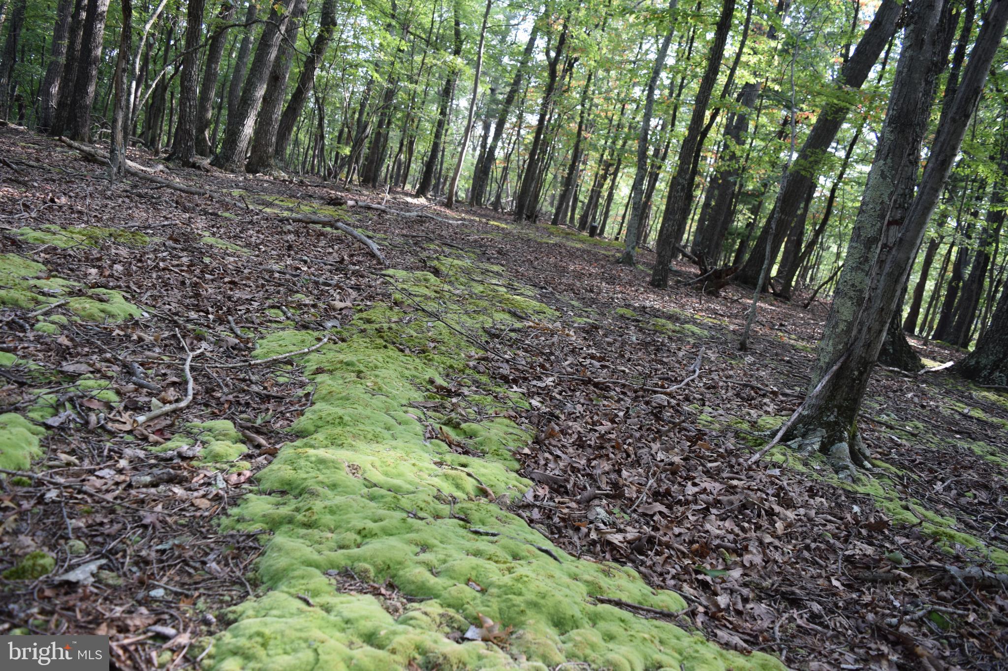 RIVER RIDGE SUBDIVISION - Land