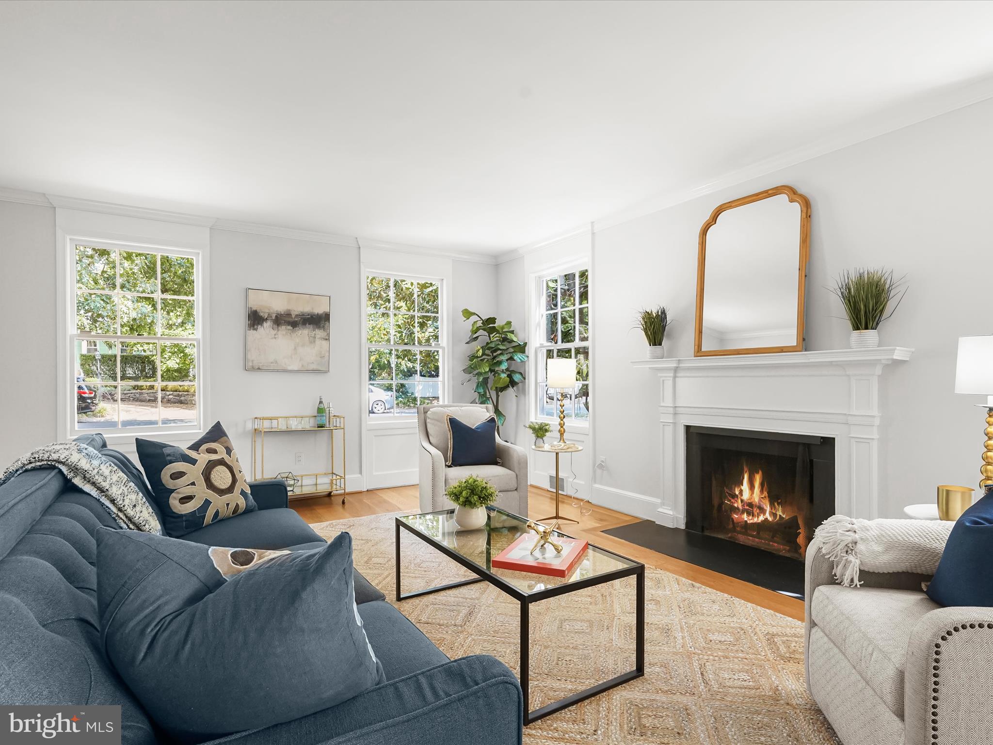 CHEVY CHASE VILLAGE - Residential