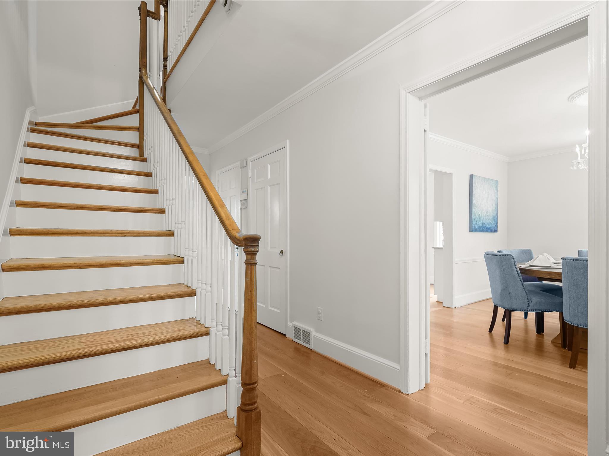 CHEVY CHASE VILLAGE - Residential