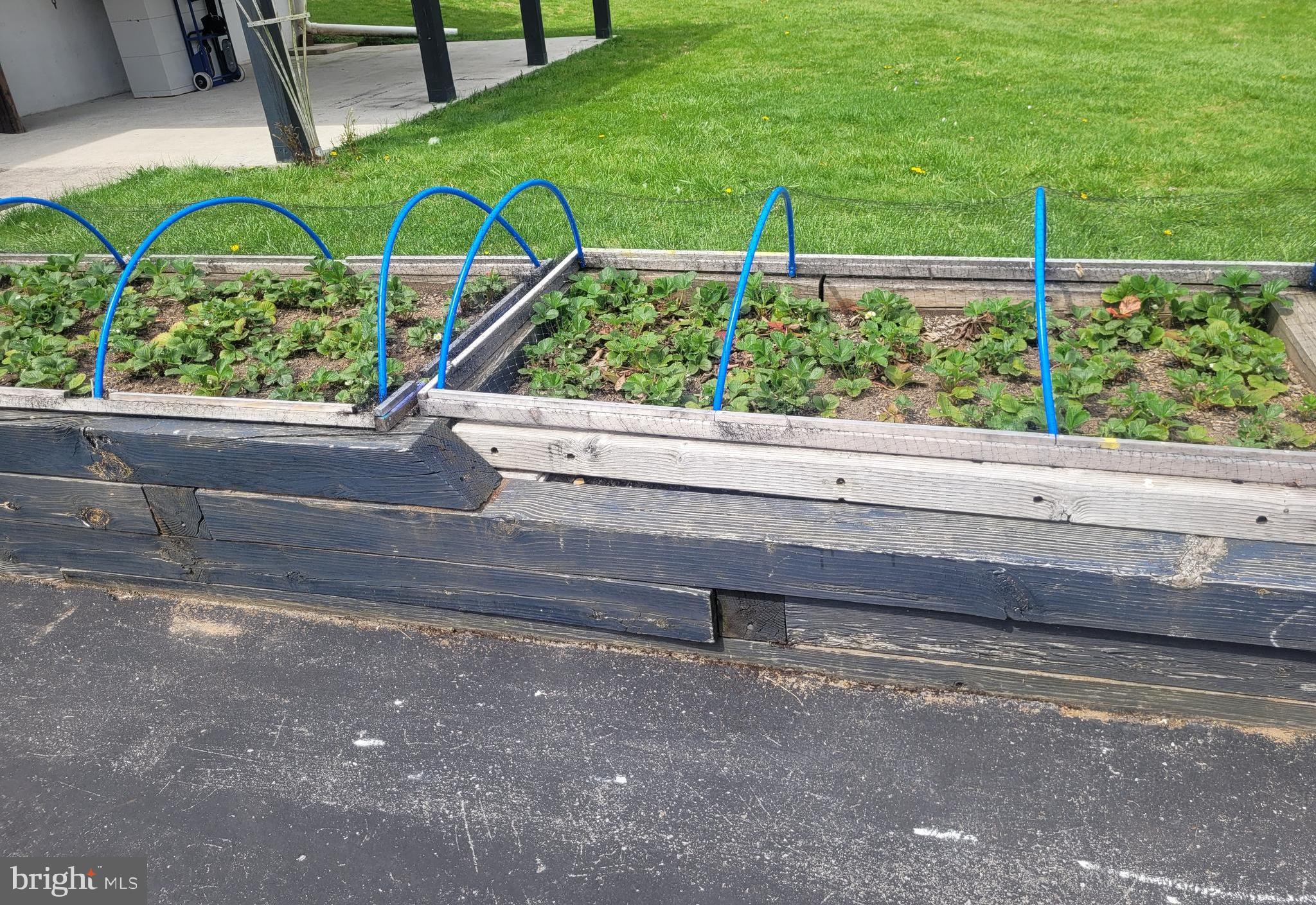 CARPENDALE - Residential