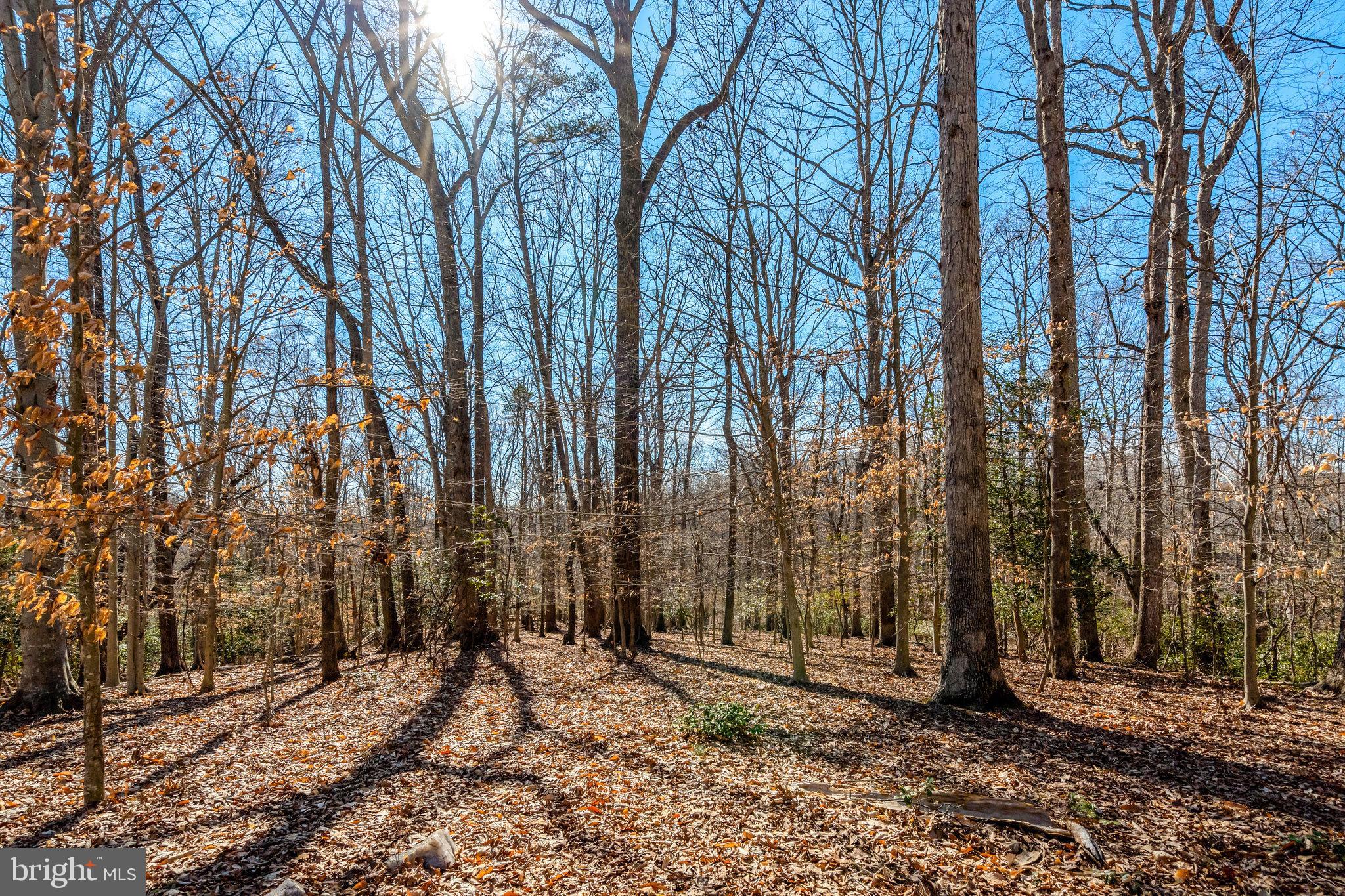 HAMPTON WOODS WEST - Residential