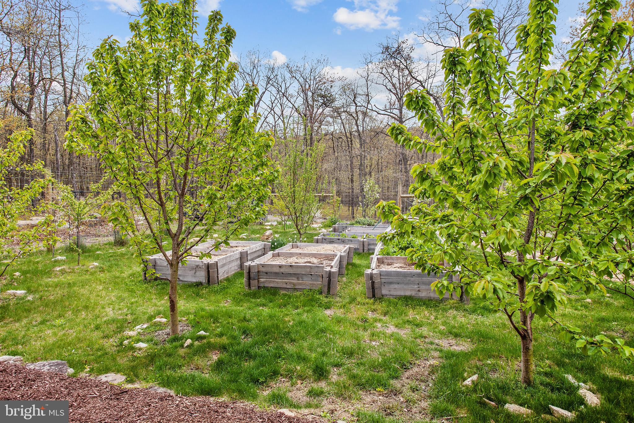 MORGANS RIDGE - Residential