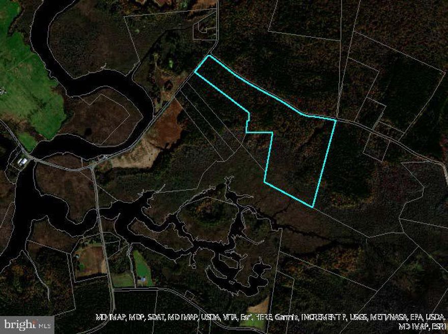 Sika Deer, Turkey, and Ducks .........  If you are looking for a managed hunting property, look no further.   With great access, hard ground, marsh, and swamp, this property is prime land to hunt a Monster Sika Stag.  Don't wait or this property will be gone.    The Seller has deer hunted this property with bow only.   With close proximity to State Land, you get the best of both world.  DO NOT ENTER THE PROPERTY, IT IS POSTED.  CALL THE LISTING AGENT FOR ALL SHOWINGS.  THE LISTING AGENT MUST ATTEND ALL SHOWINGS.