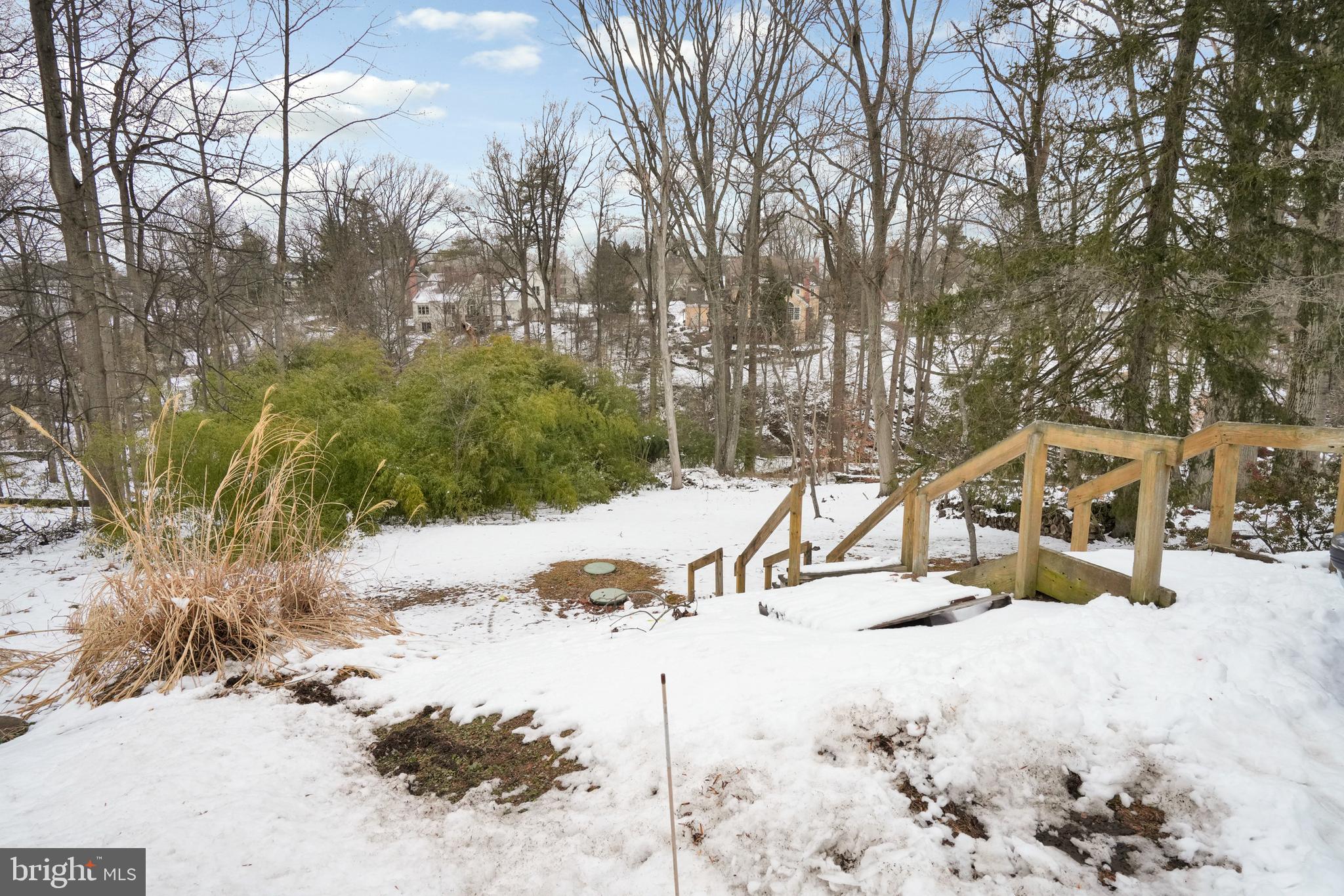 MEADOWS AT VALLEYFRG - Residential