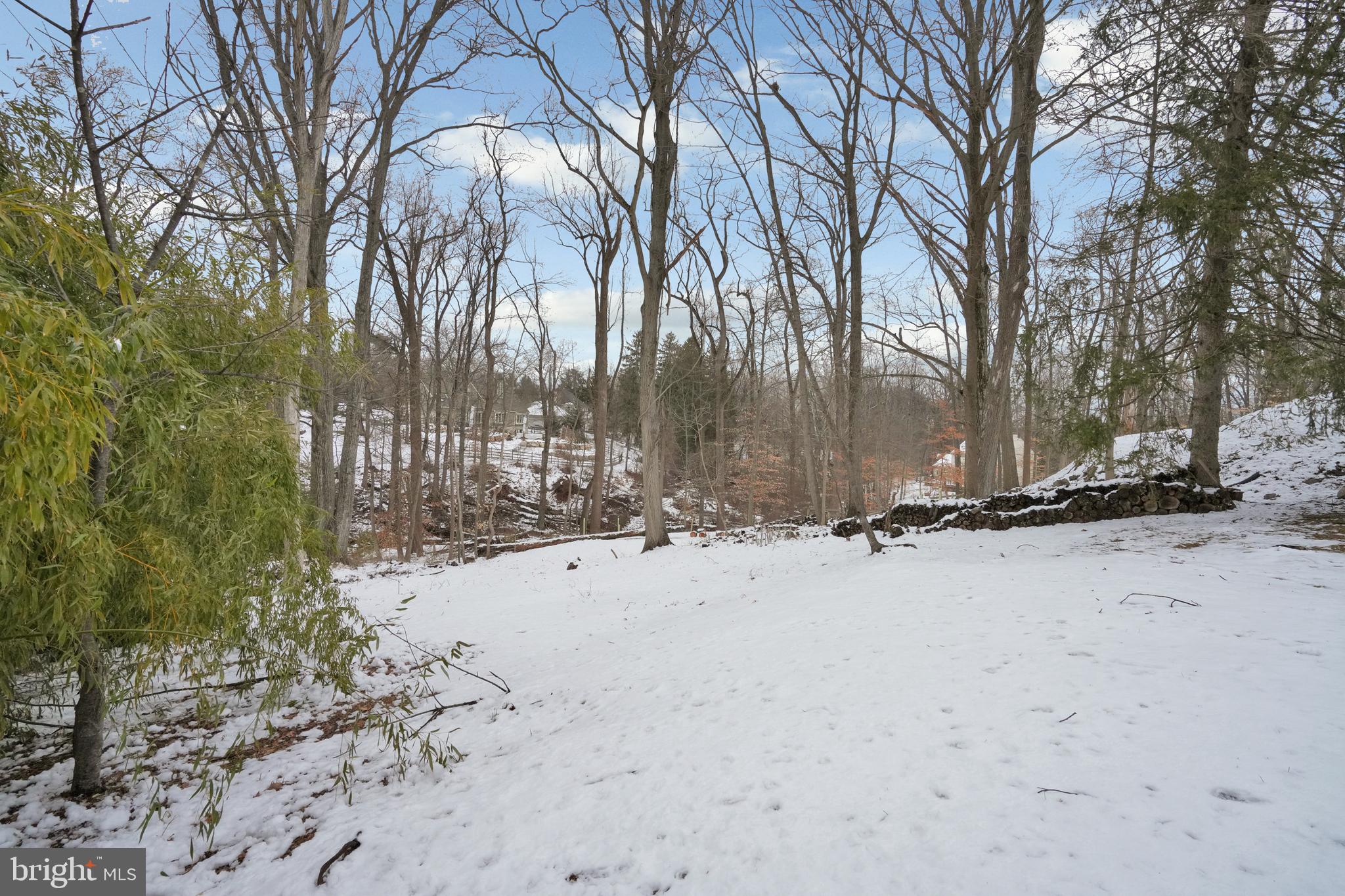 MEADOWS AT VALLEYFRG - Residential