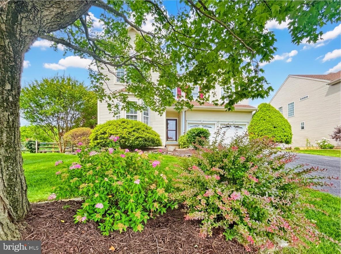 12 ORCHID DRIVE