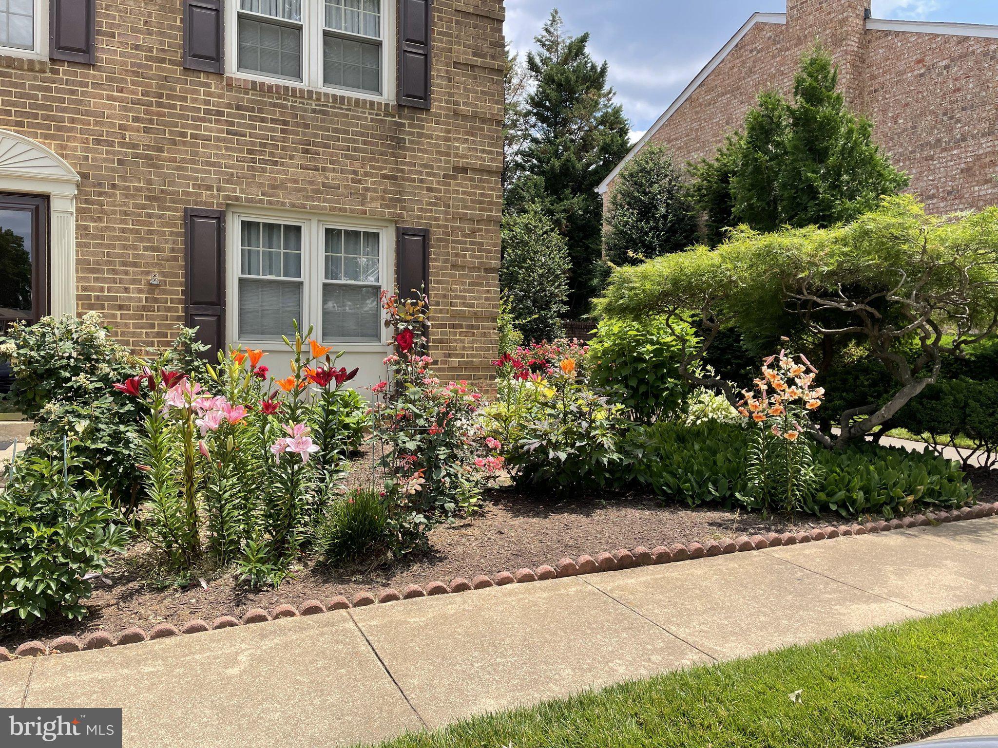 HALLCREST HEIGHTS - Residential