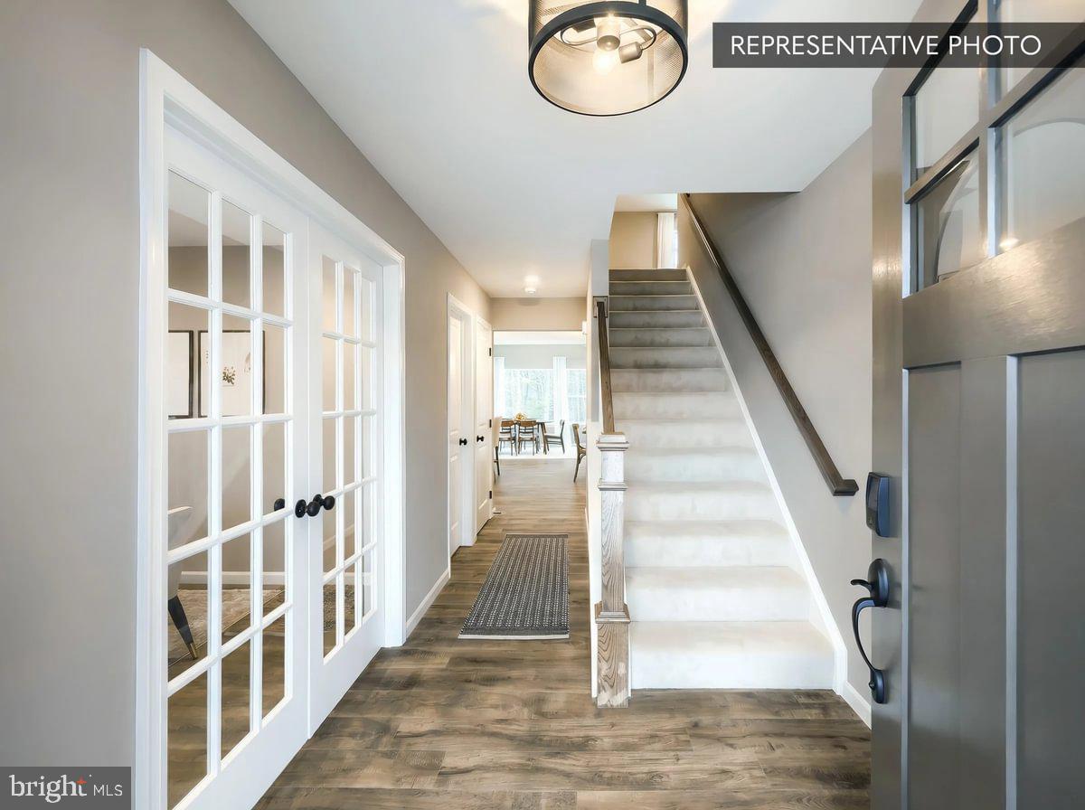 BLACK CHERRY PLAN AT THE SEASONS