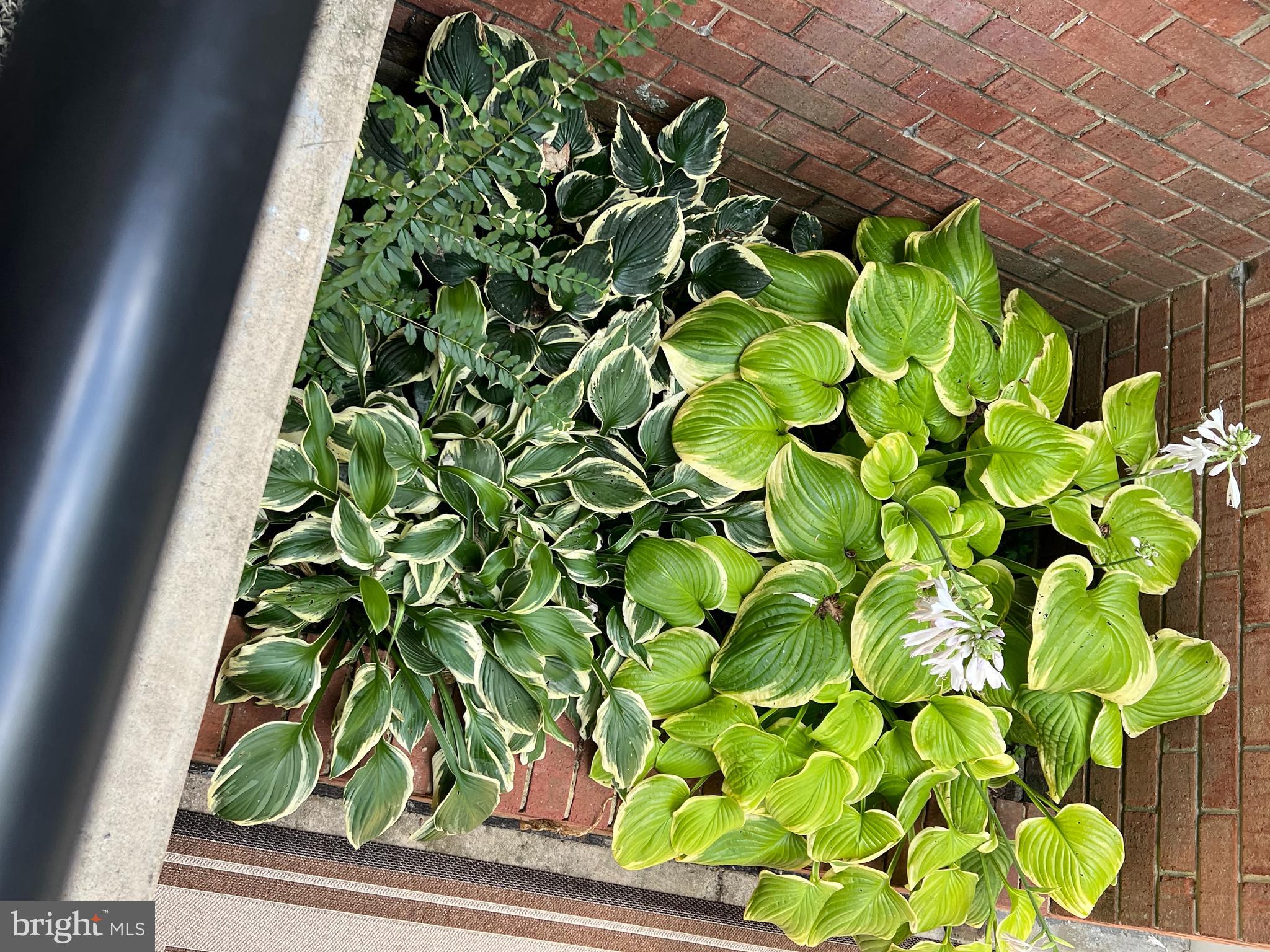 KEMP MILL ESTATES - Residential