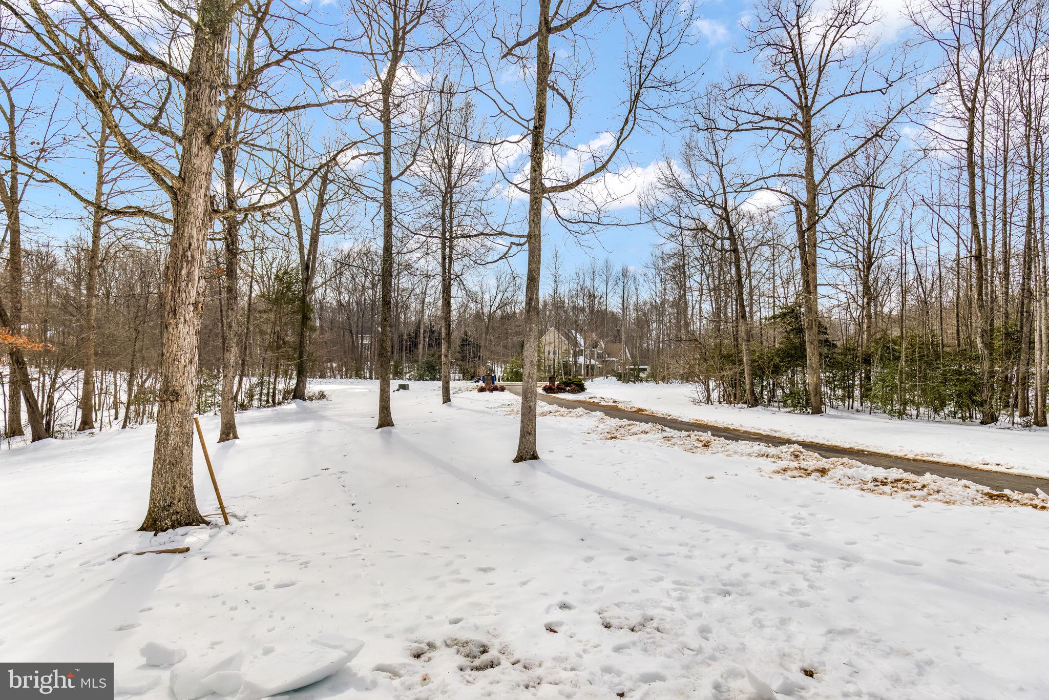 MAGNOLIA WOODS - Residential