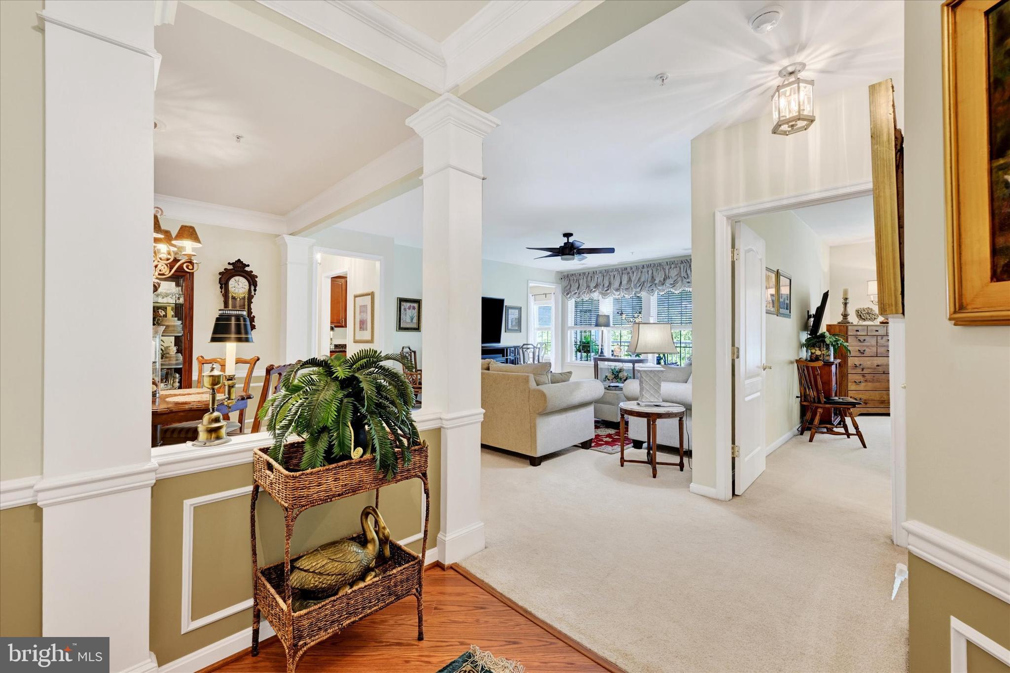1406 JOPPA FOREST DRIVE K