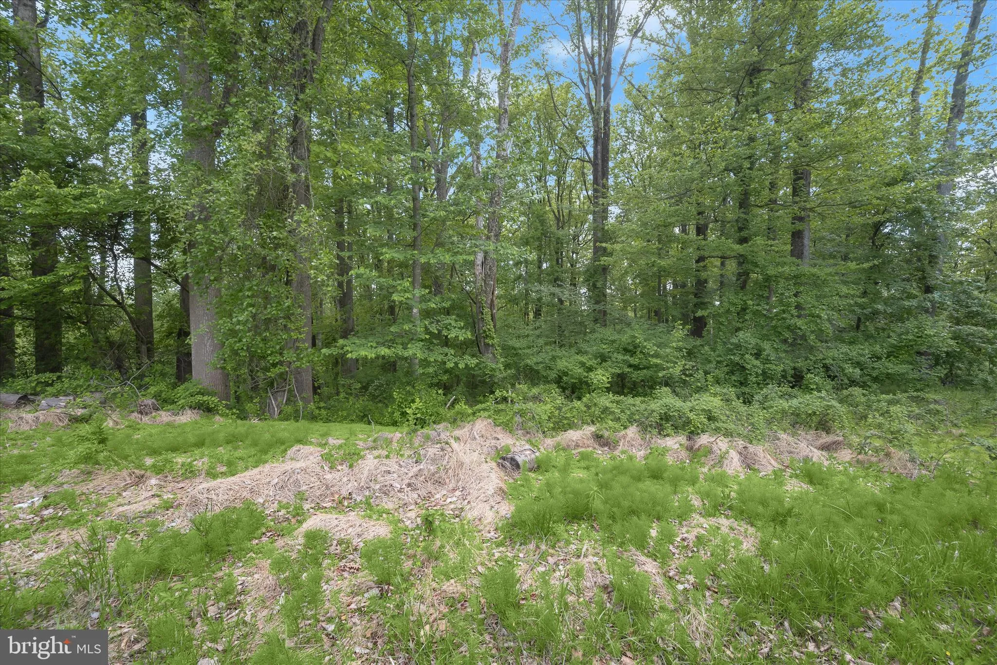 Additional image 19 of 2994 Falls Run Road, Randallstown, MD 21133