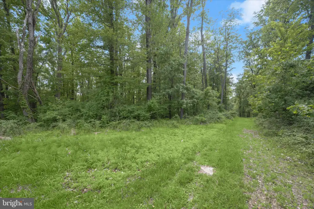 Additional image 10 of 2994 Falls Run Road, Randallstown, MD 21133