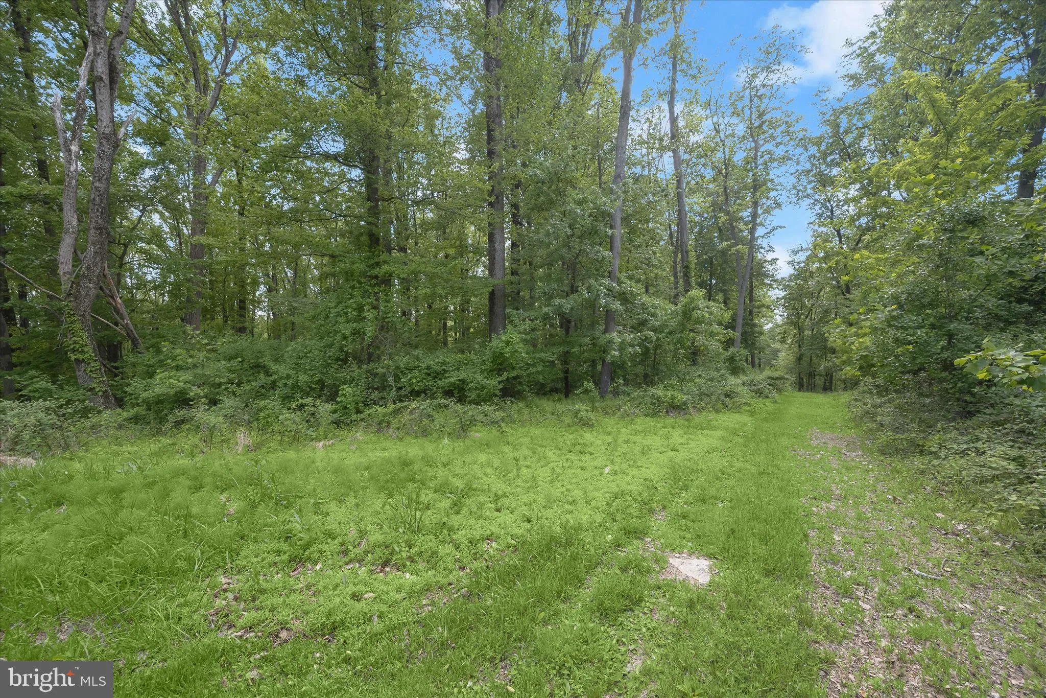 Additional image 22 of 2994 Falls Run Road, Randallstown, MD 21133
